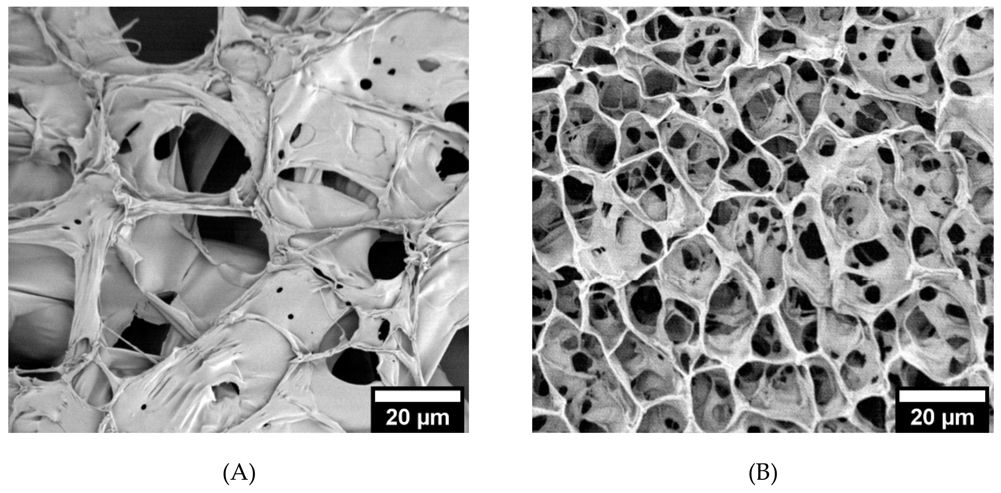 Biomolecules 09 00515 g003a Biomolecules 09 00515 g003a