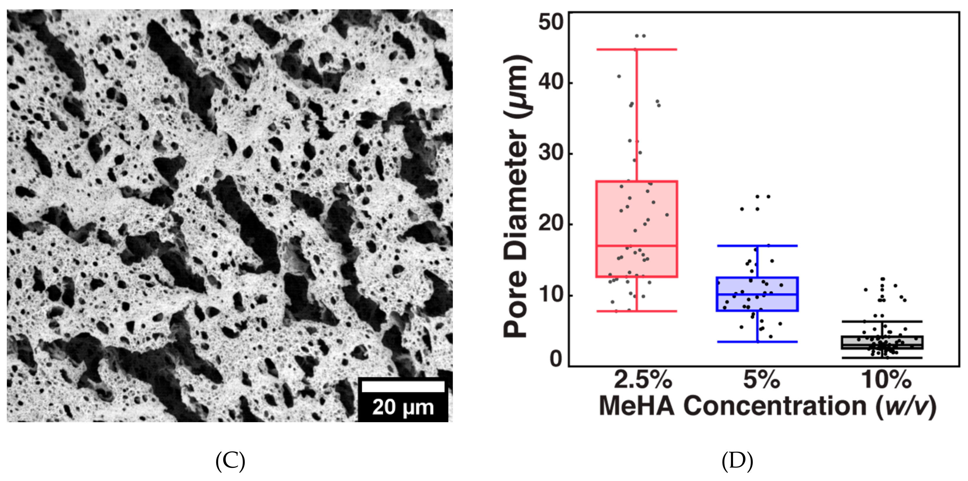 Biomolecules 09 00515 g003b Biomolecules 09 00515 g003b