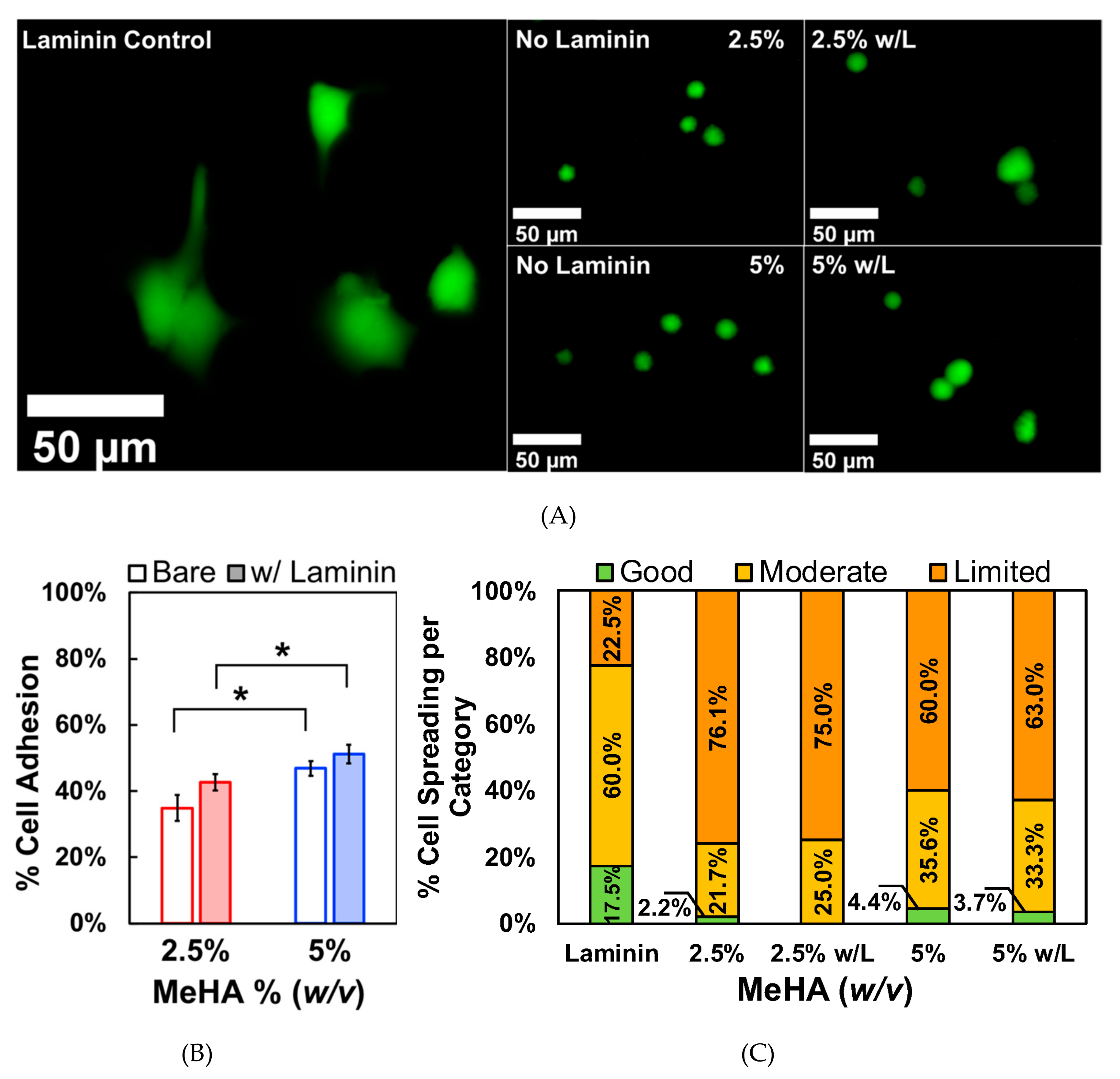 Biomolecules 09 00515 g004 Biomolecules 09 00515 g004