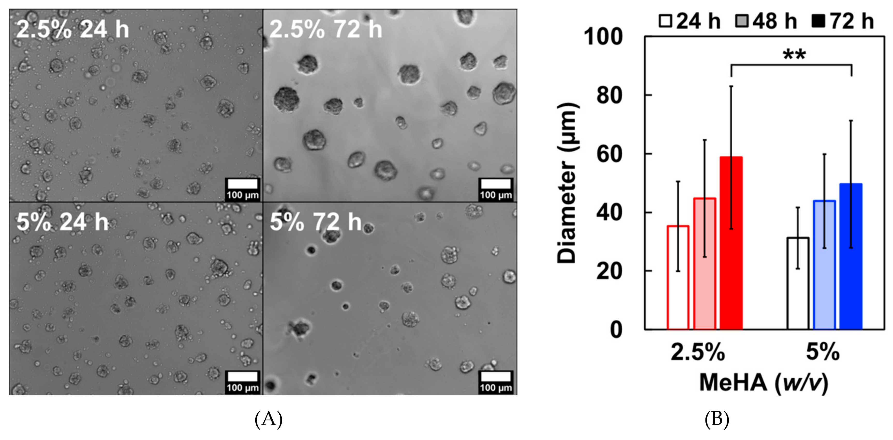 Biomolecules 09 00515 g005 Biomolecules 09 00515 g005