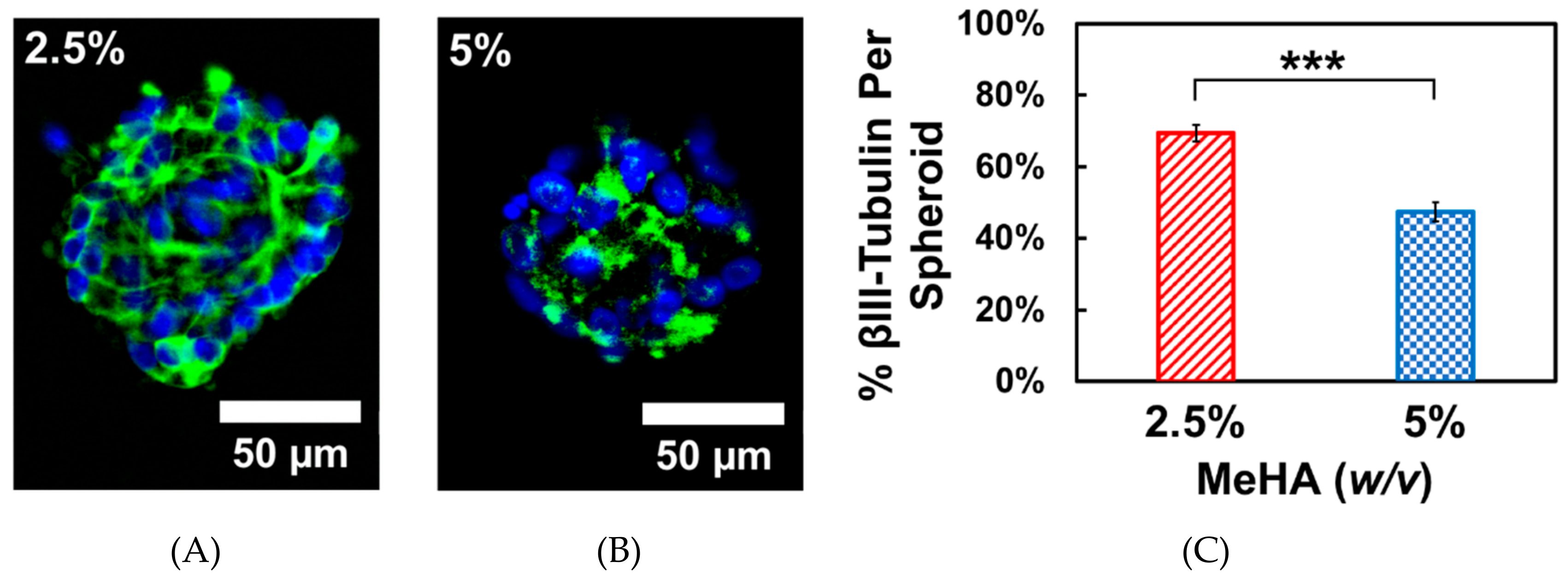 Biomolecules 09 00515 g006 Biomolecules 09 00515 g006