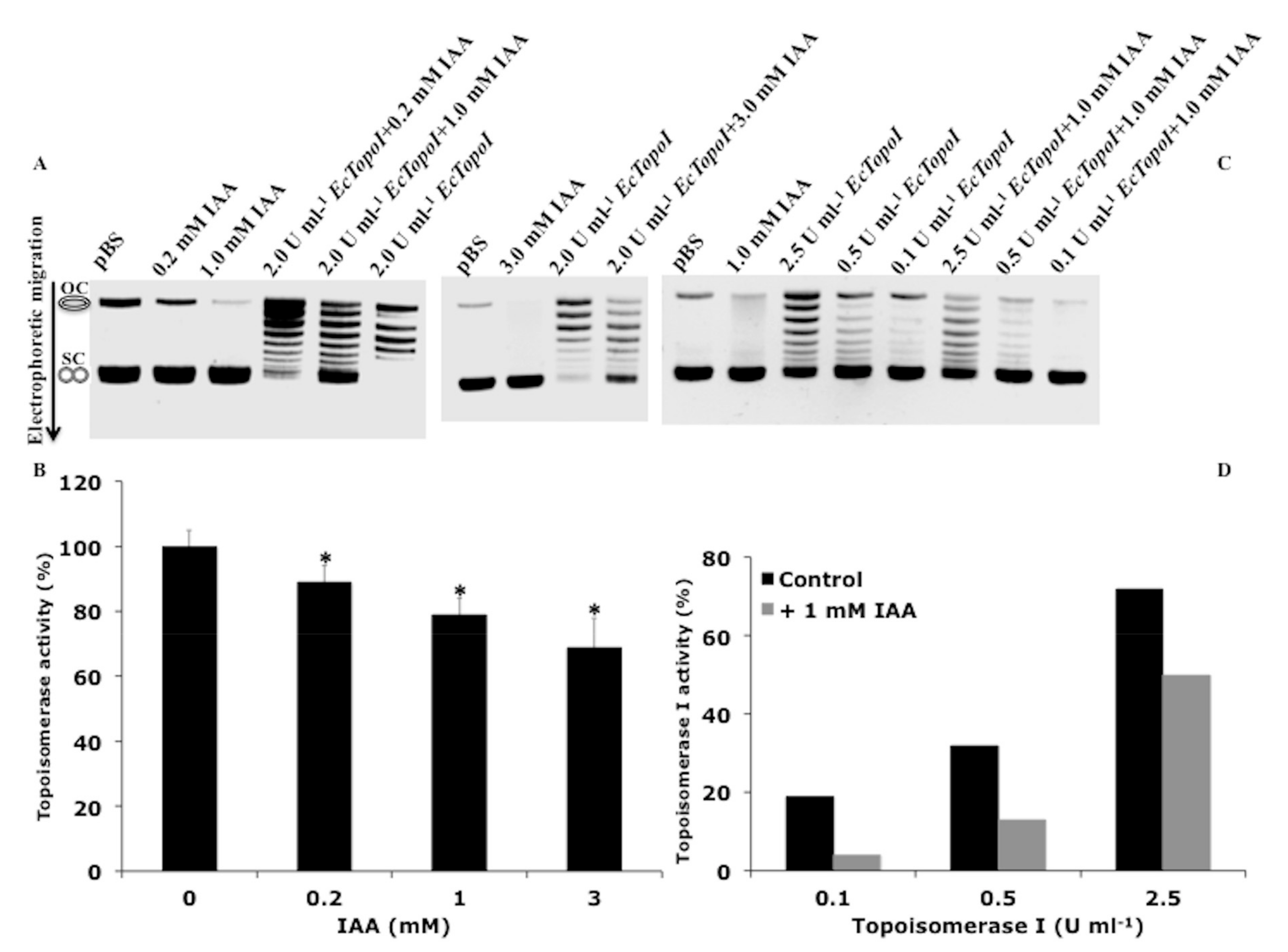Biomolecules 09 00522 g004