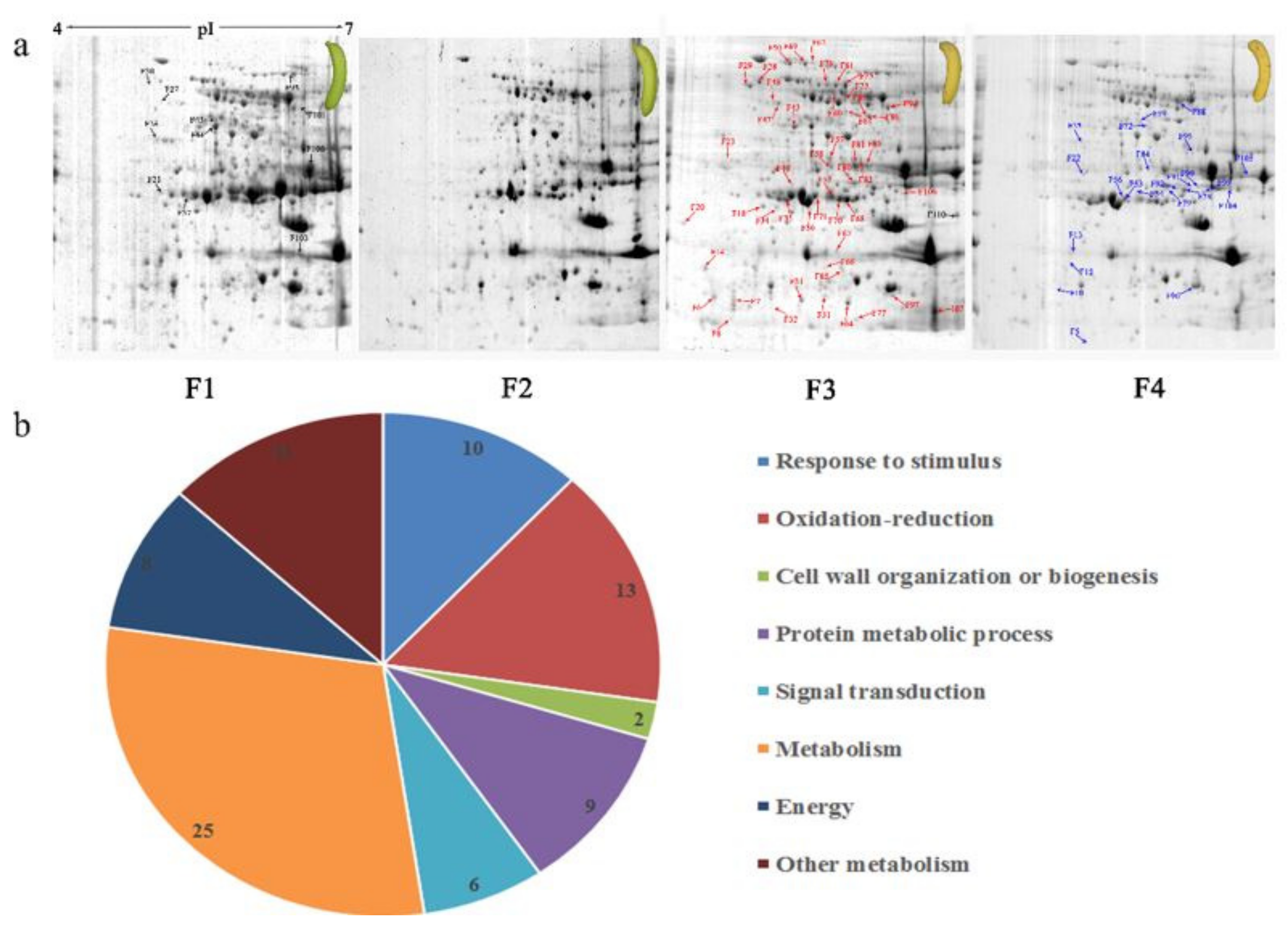 Biomolecules 09 00523 g003
