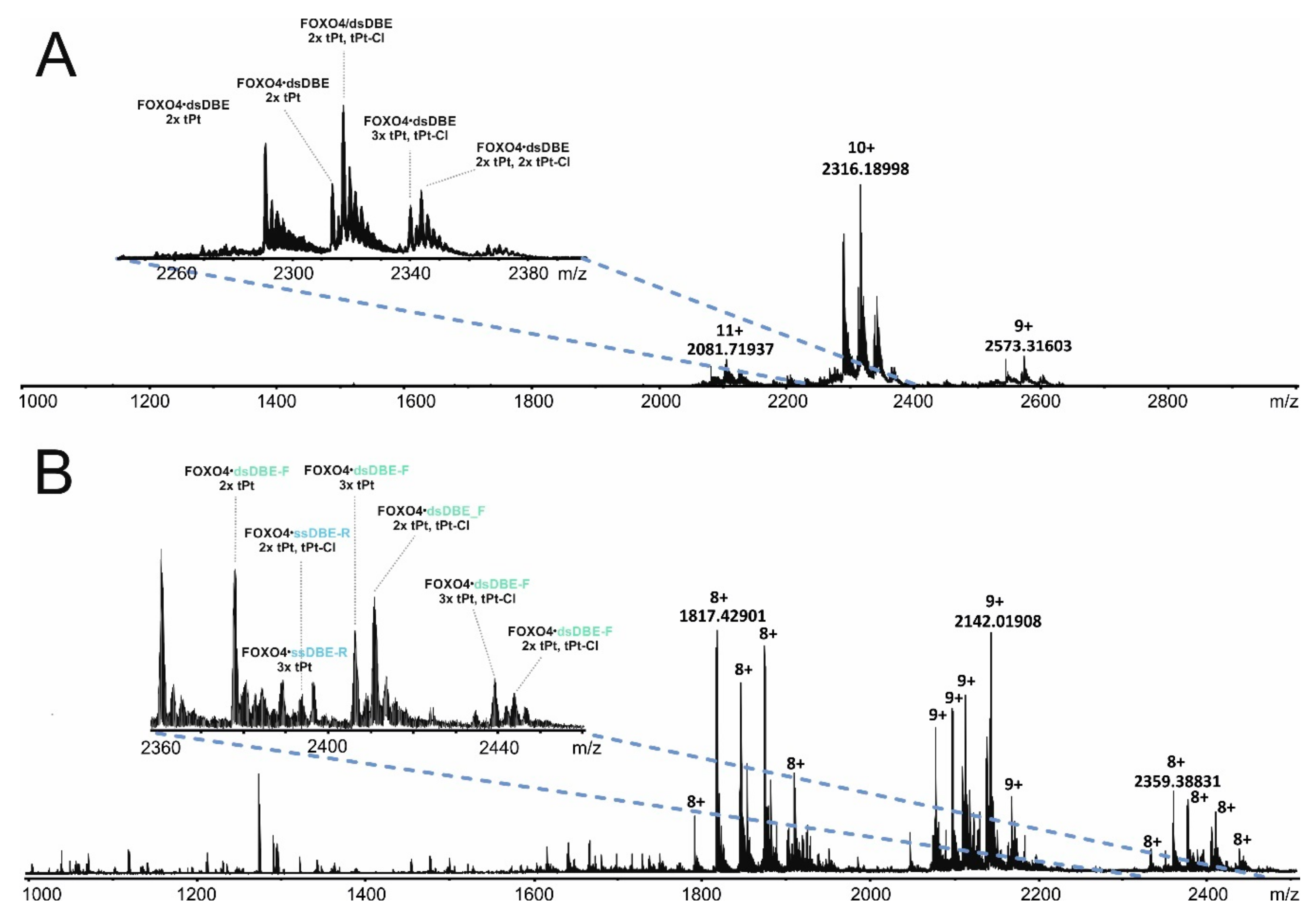 Biomolecules 09 00535 g004 Biomolecules 09 00535 g004