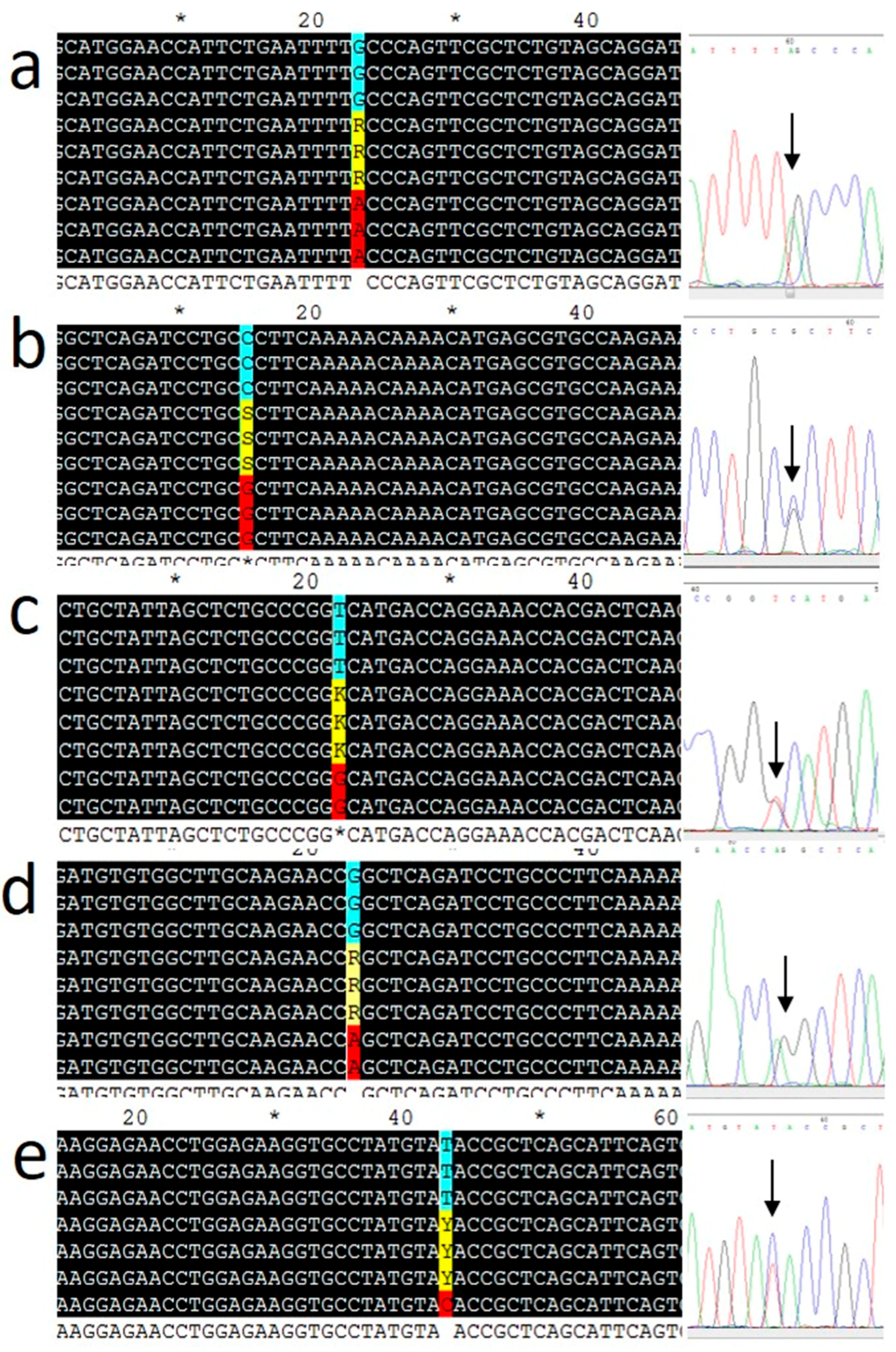 Biomolecules 09 00537 g001 Biomolecules 09 00537 g001
