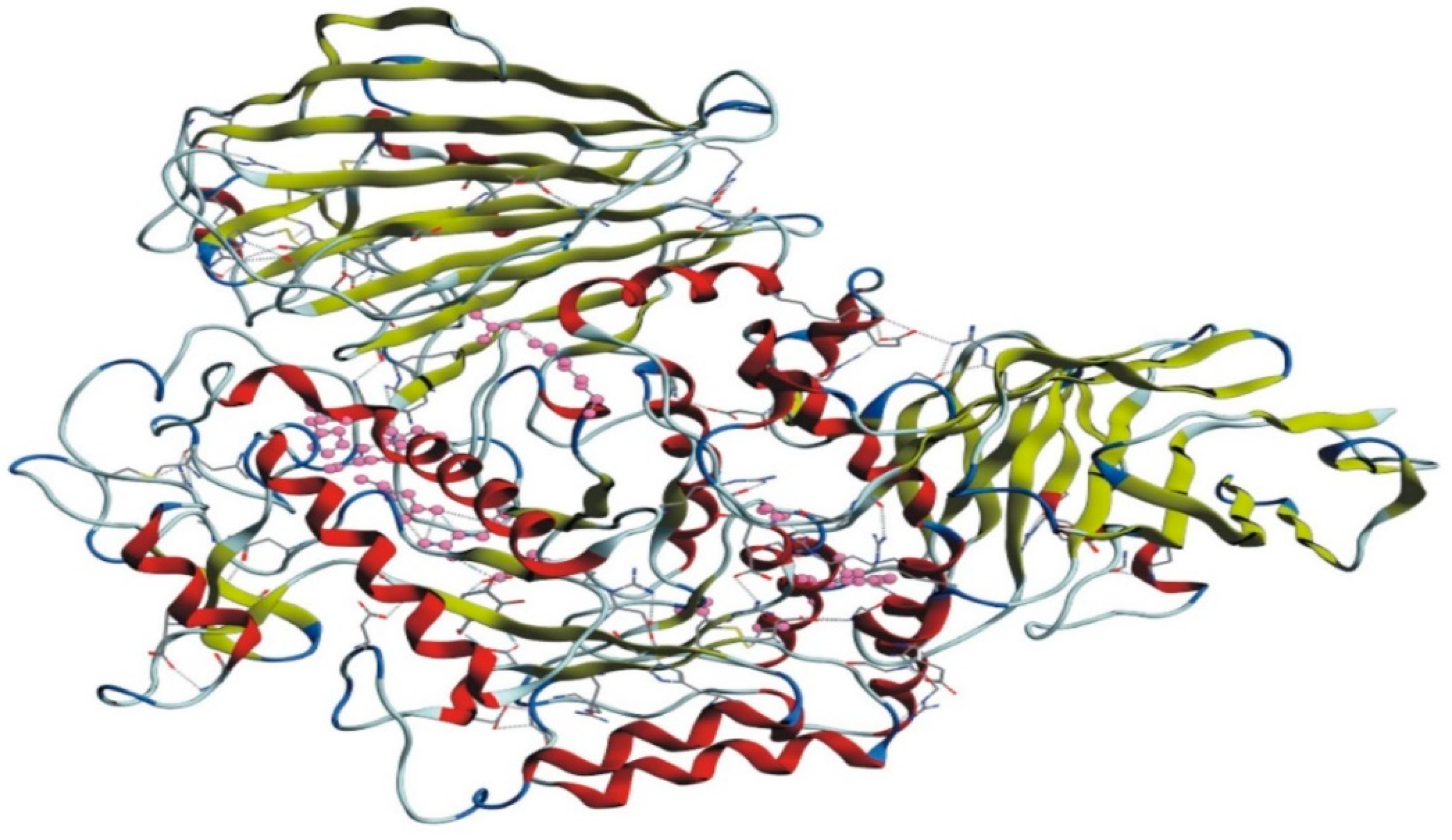 Biomolecules 09 00544 g003