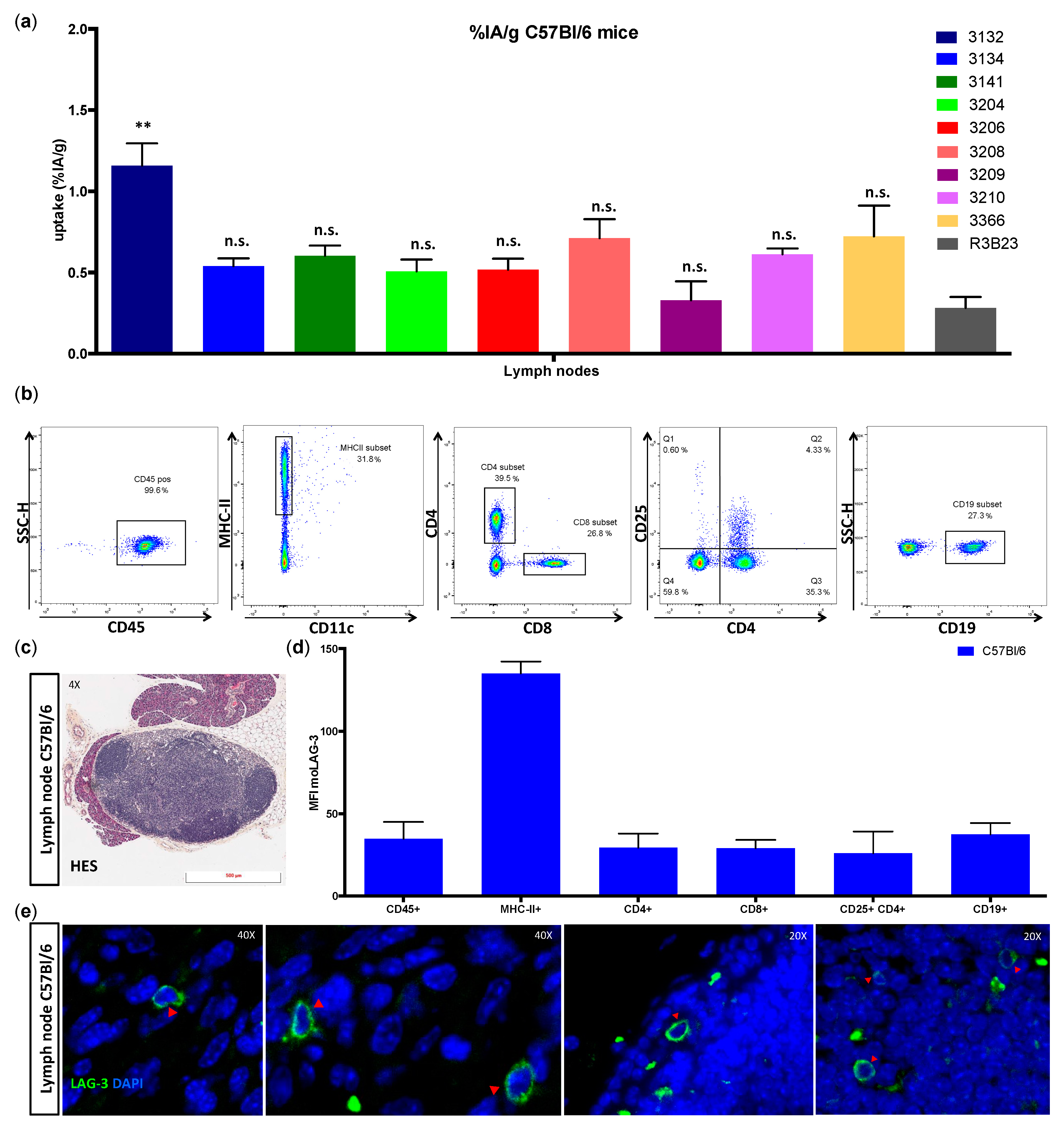 Biomolecules 09 00548 g003 Biomolecules 09 00548 g003