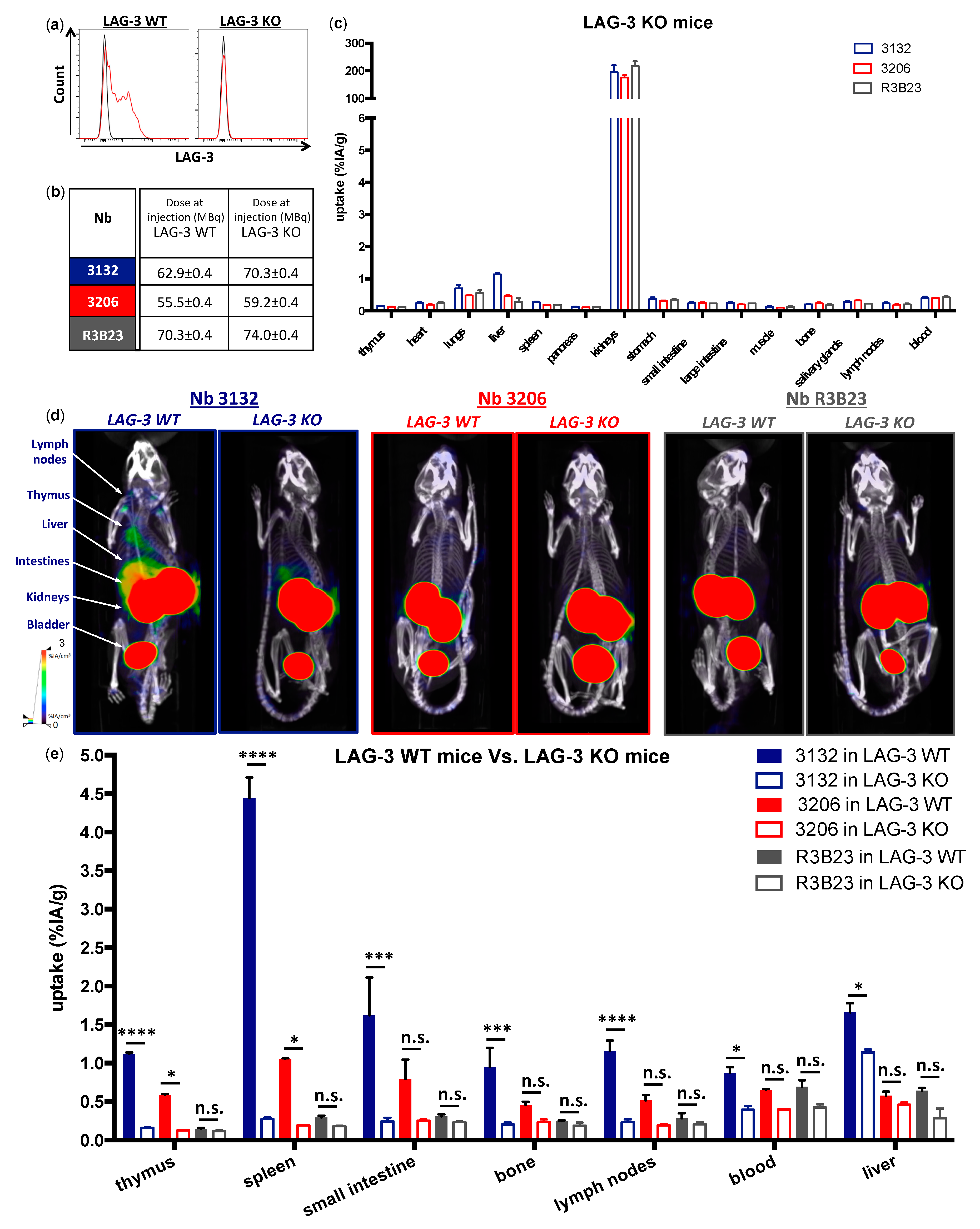 Biomolecules 09 00548 g005 Biomolecules 09 00548 g005