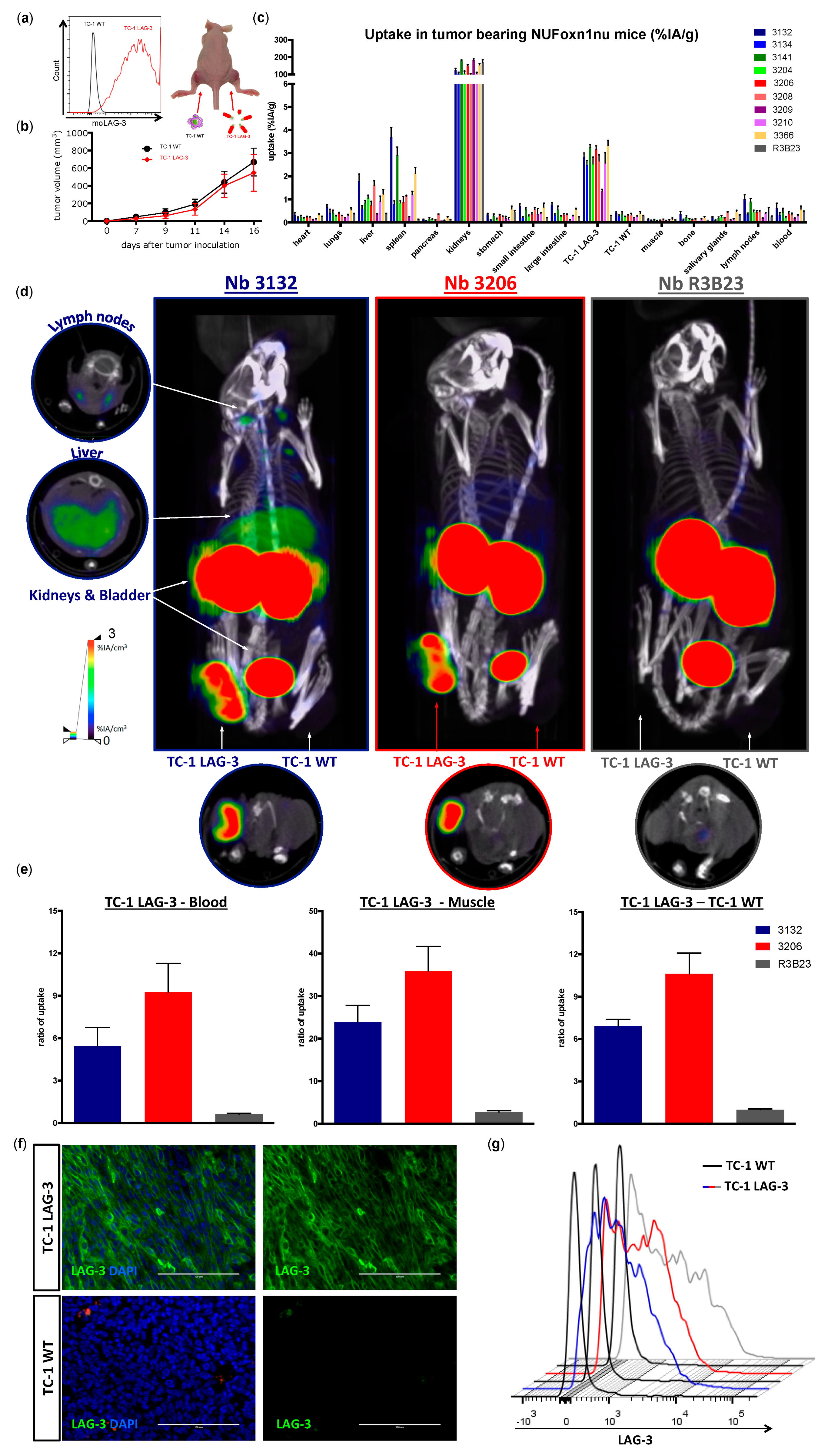 Biomolecules 09 00548 g006 Biomolecules 09 00548 g006