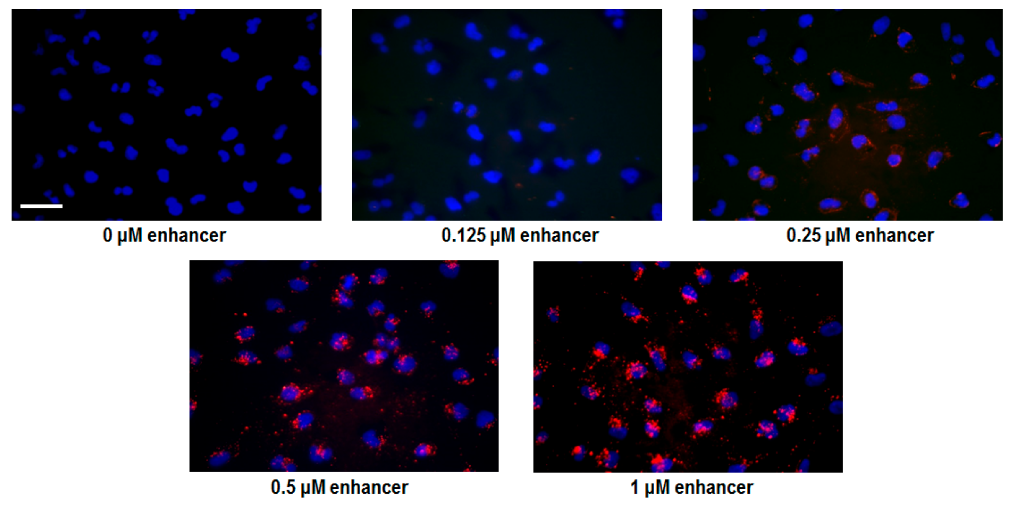 Biomolecules 09 00554 g003