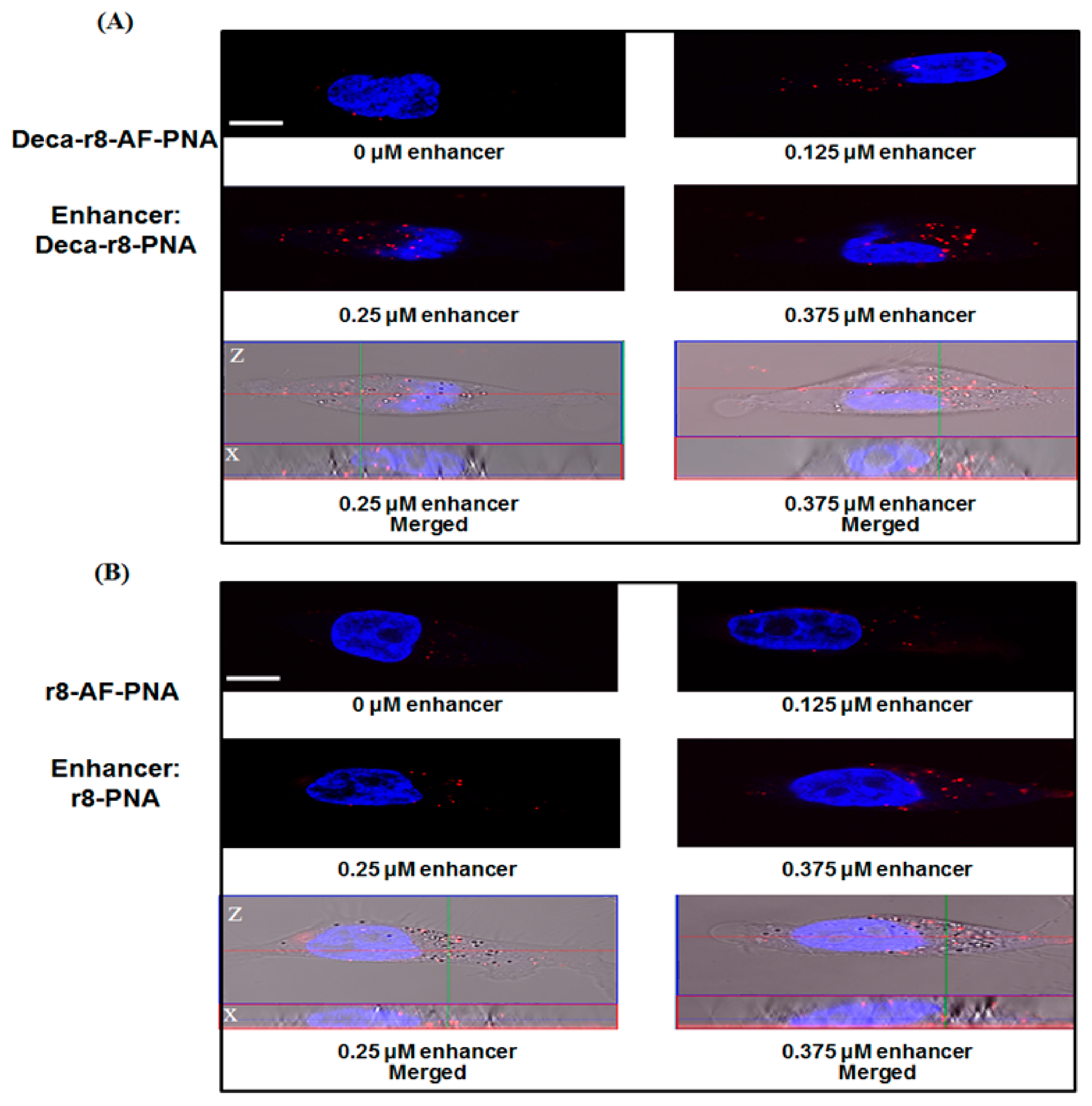 Biomolecules 09 00554 g004