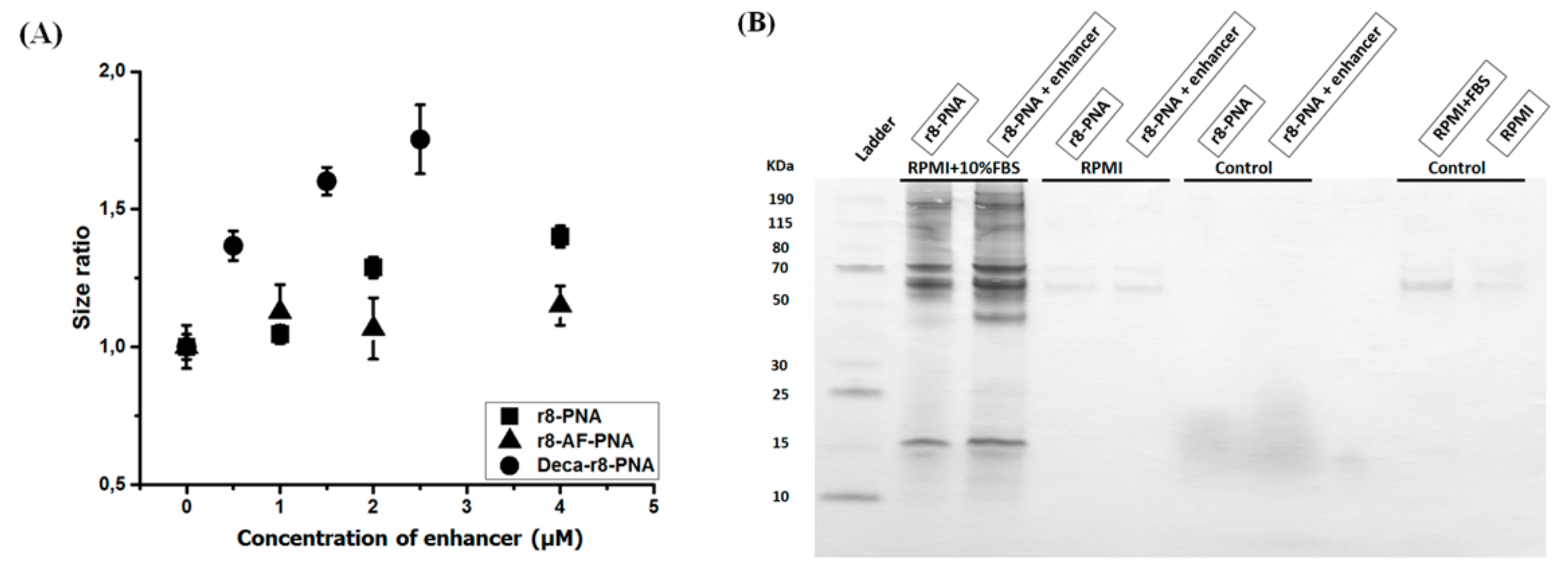 Biomolecules 09 00554 g008