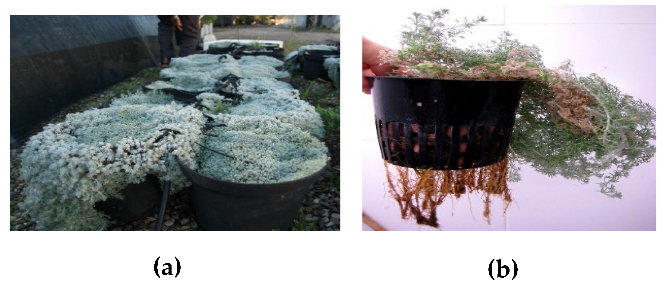 Biomolecules 09 00558 g001