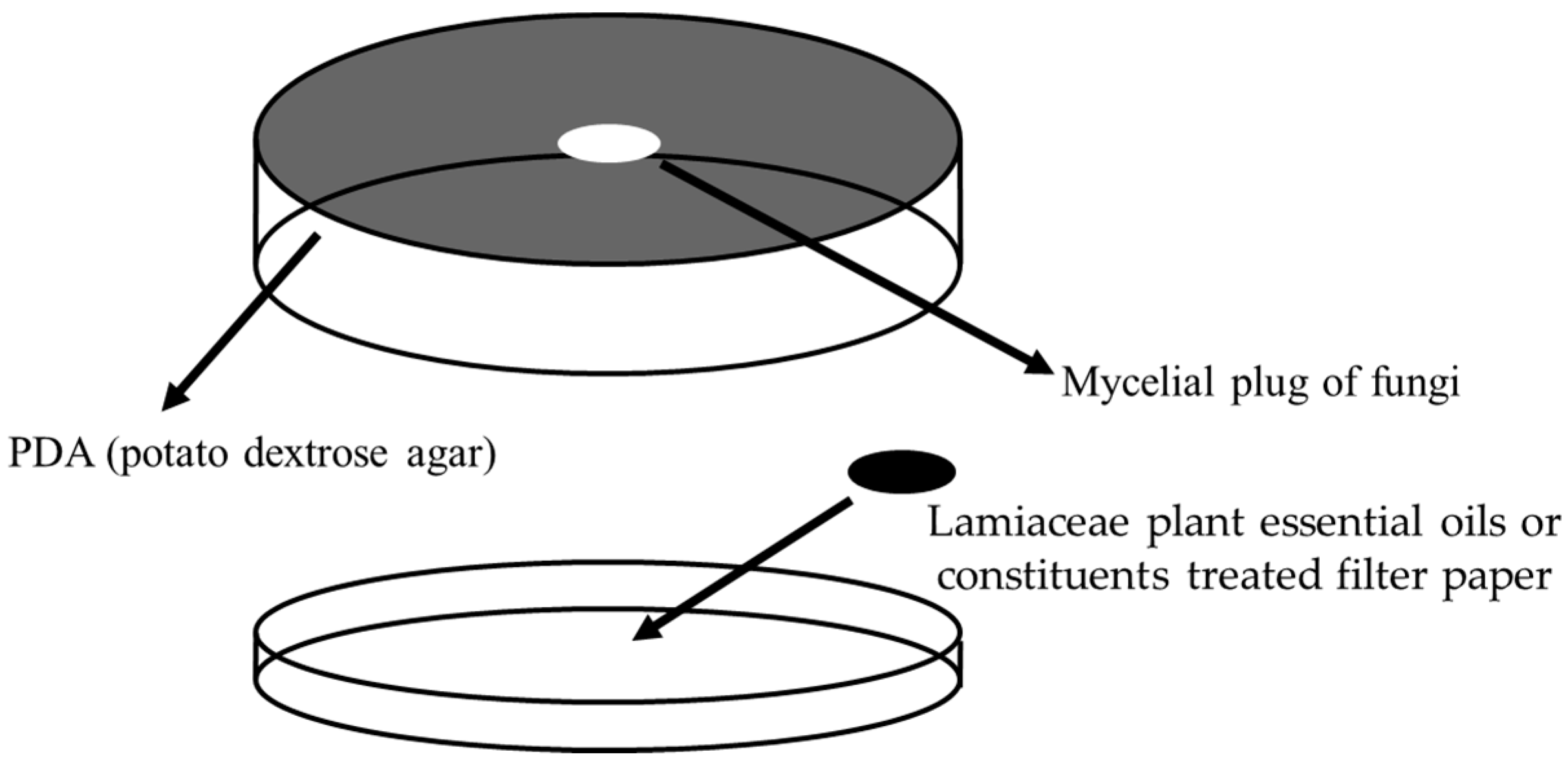 Biomolecules 09 00561 g001 Biomolecules 09 00561 g001