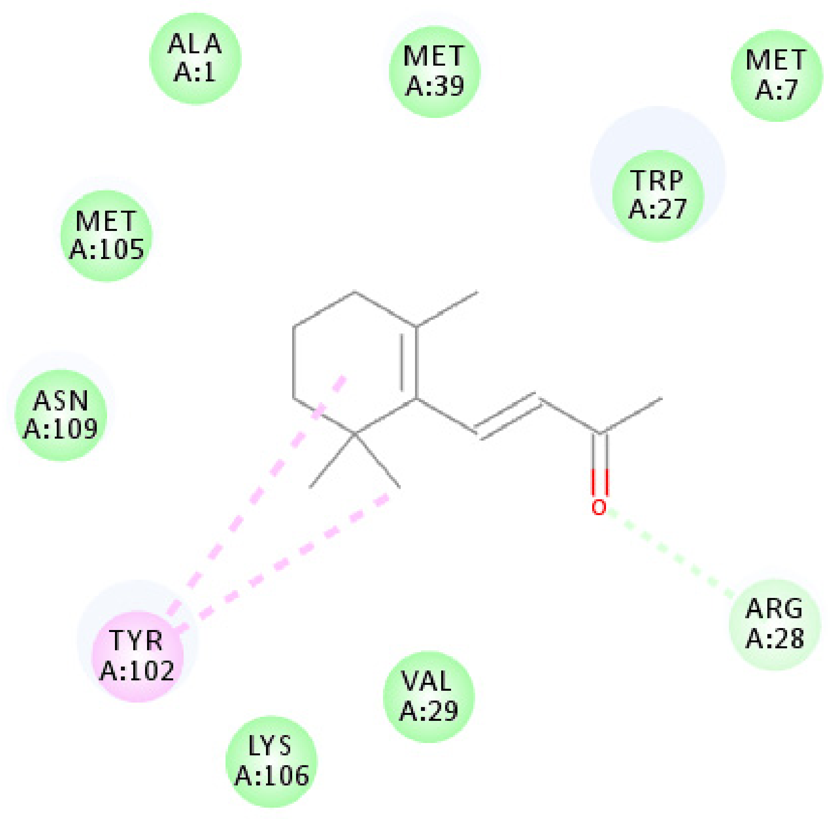 Biomolecules 09 00563 g006
