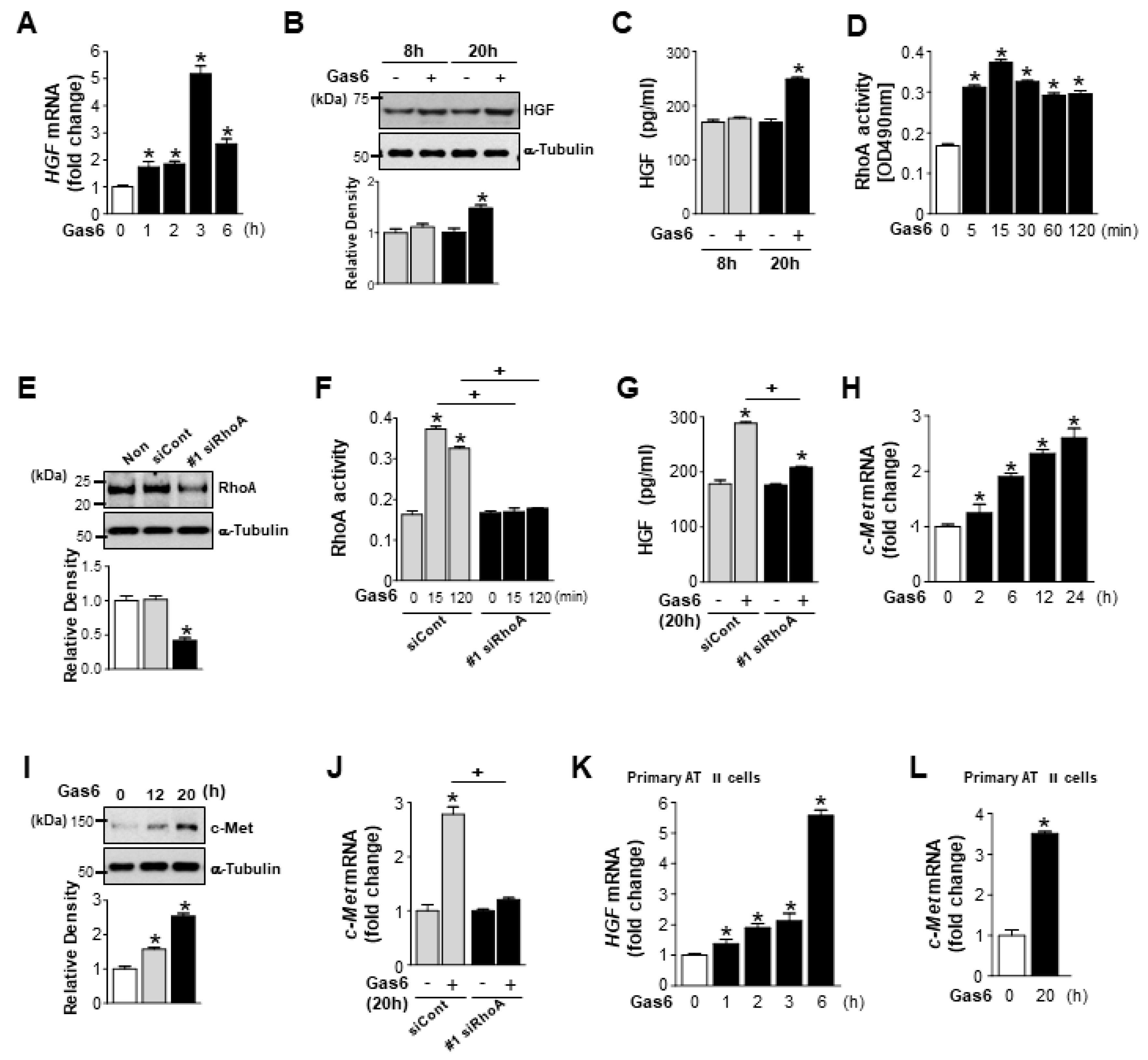 Biomolecules 09 00565 g001