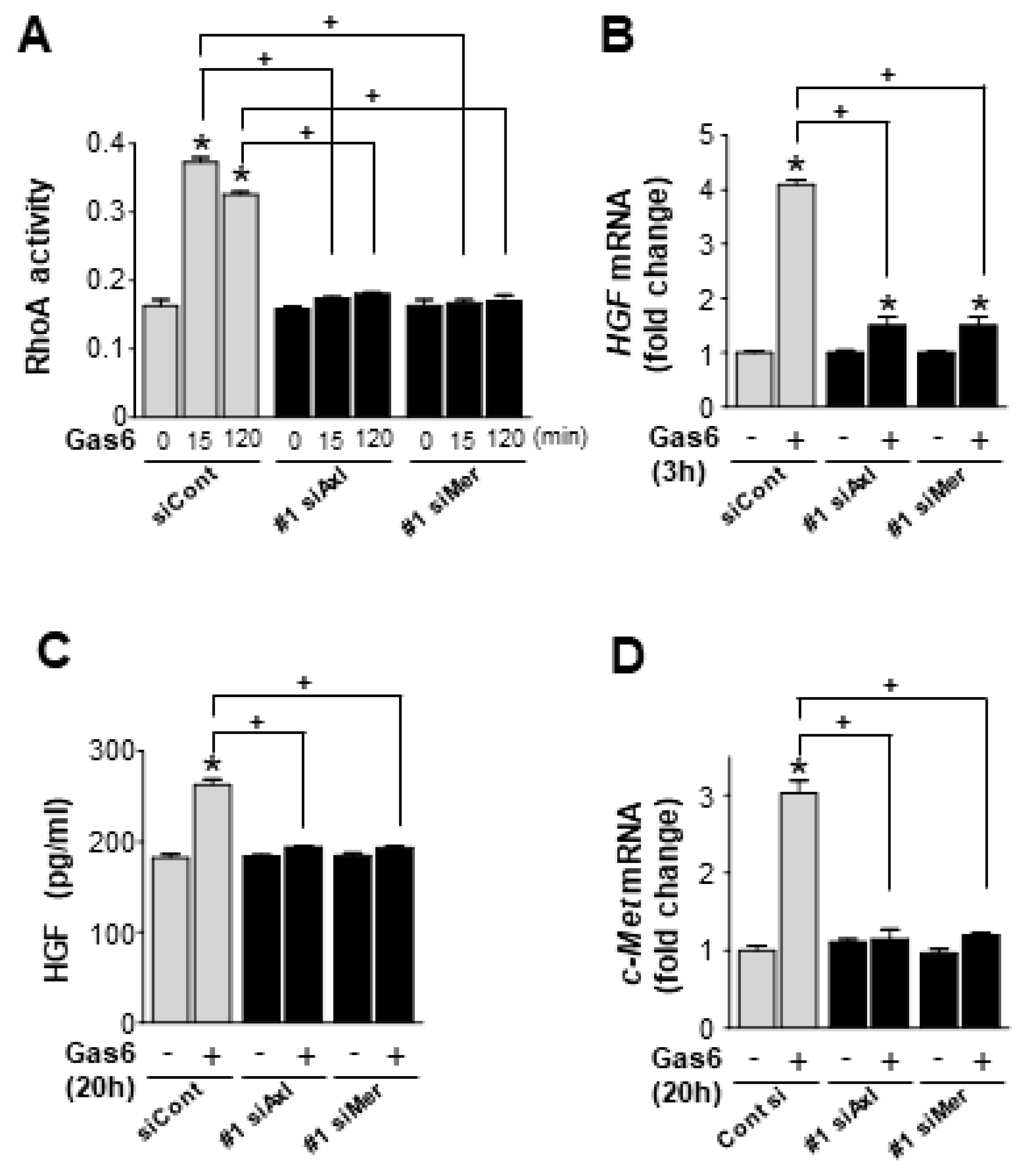 Biomolecules 09 00565 g002