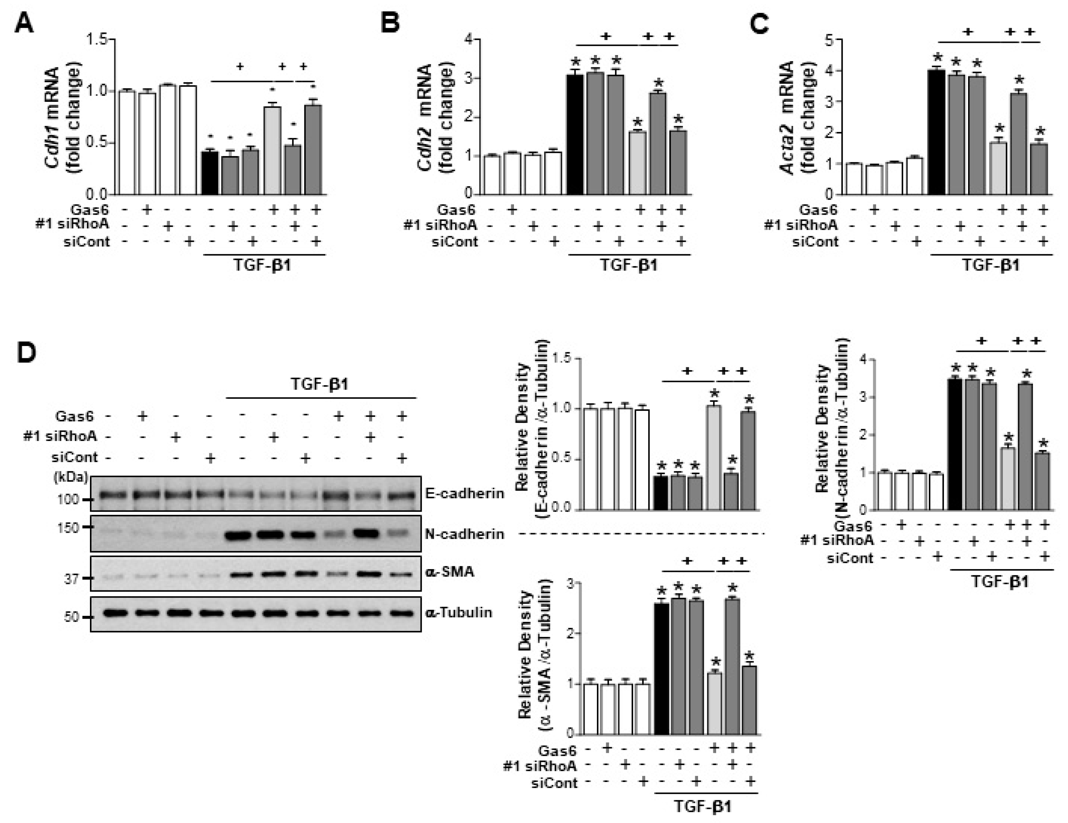 Biomolecules 09 00565 g003