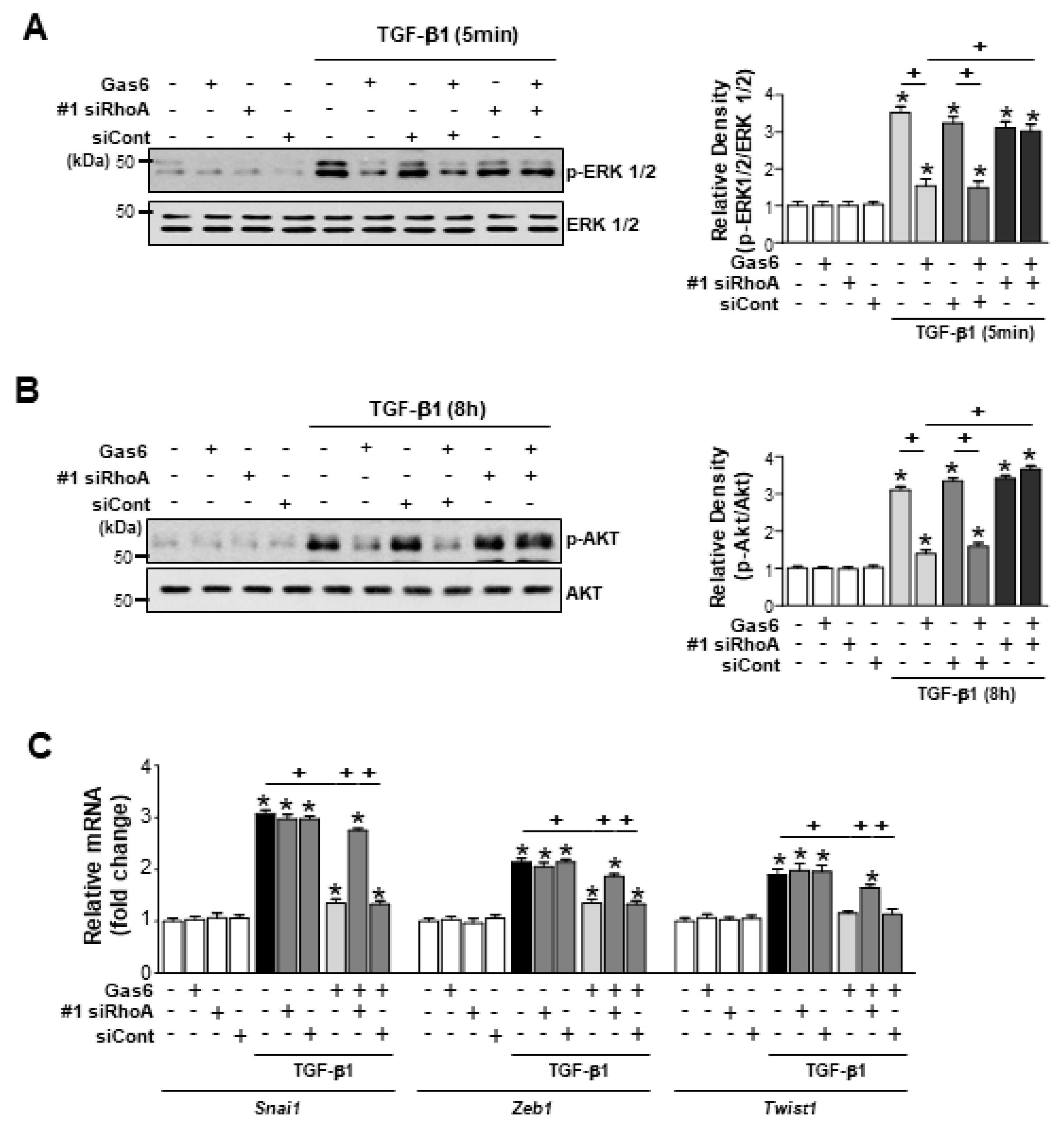 Biomolecules 09 00565 g004