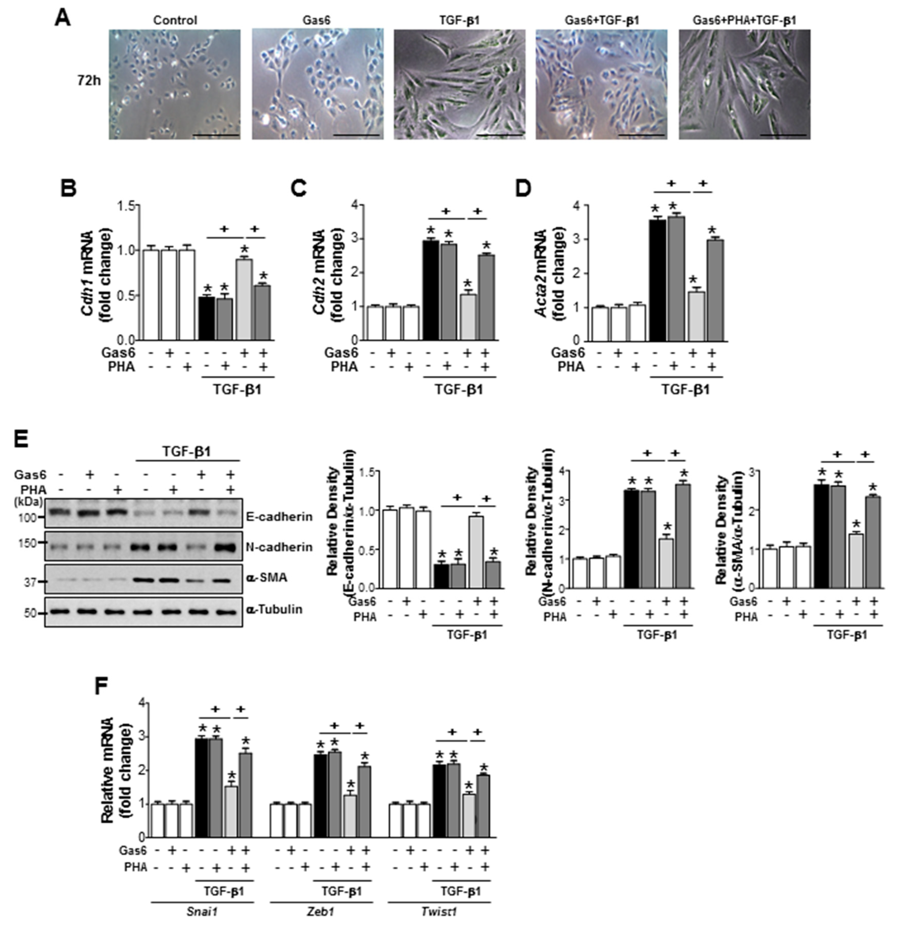 Biomolecules 09 00565 g007