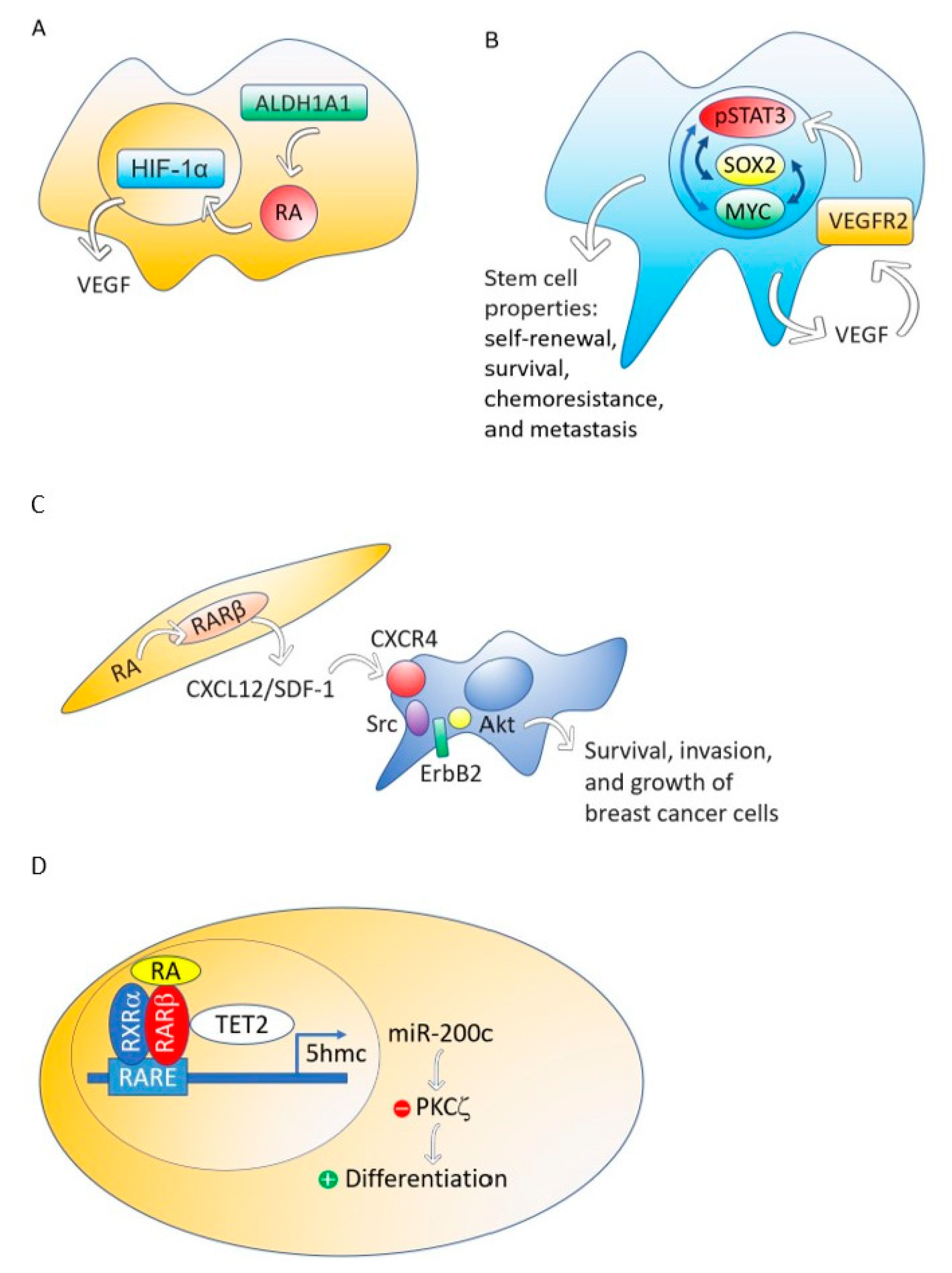 Biomolecules 09 00567 g002 Biomolecules 09 00567 g002