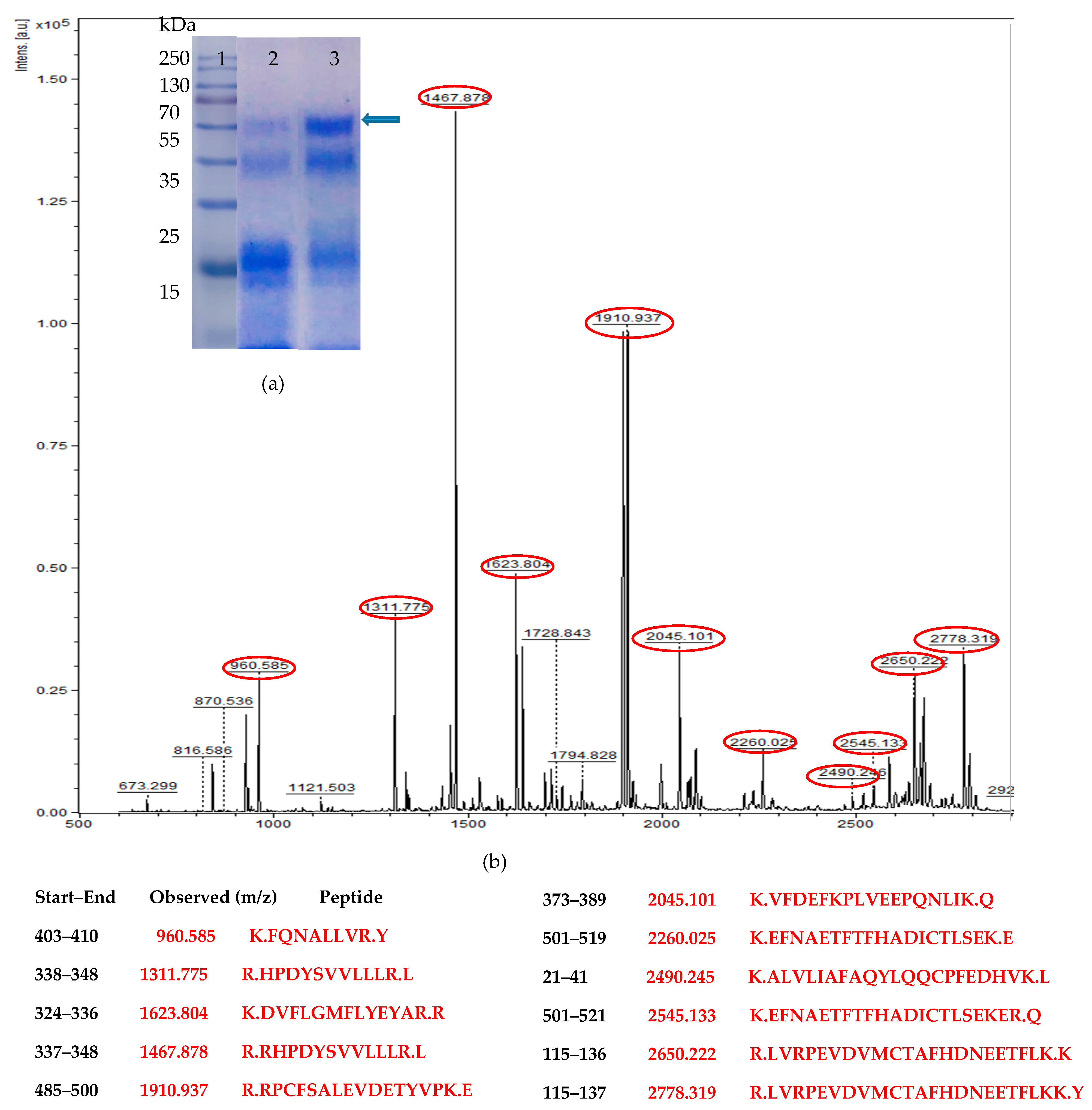 Biomolecules 09 00568 g002