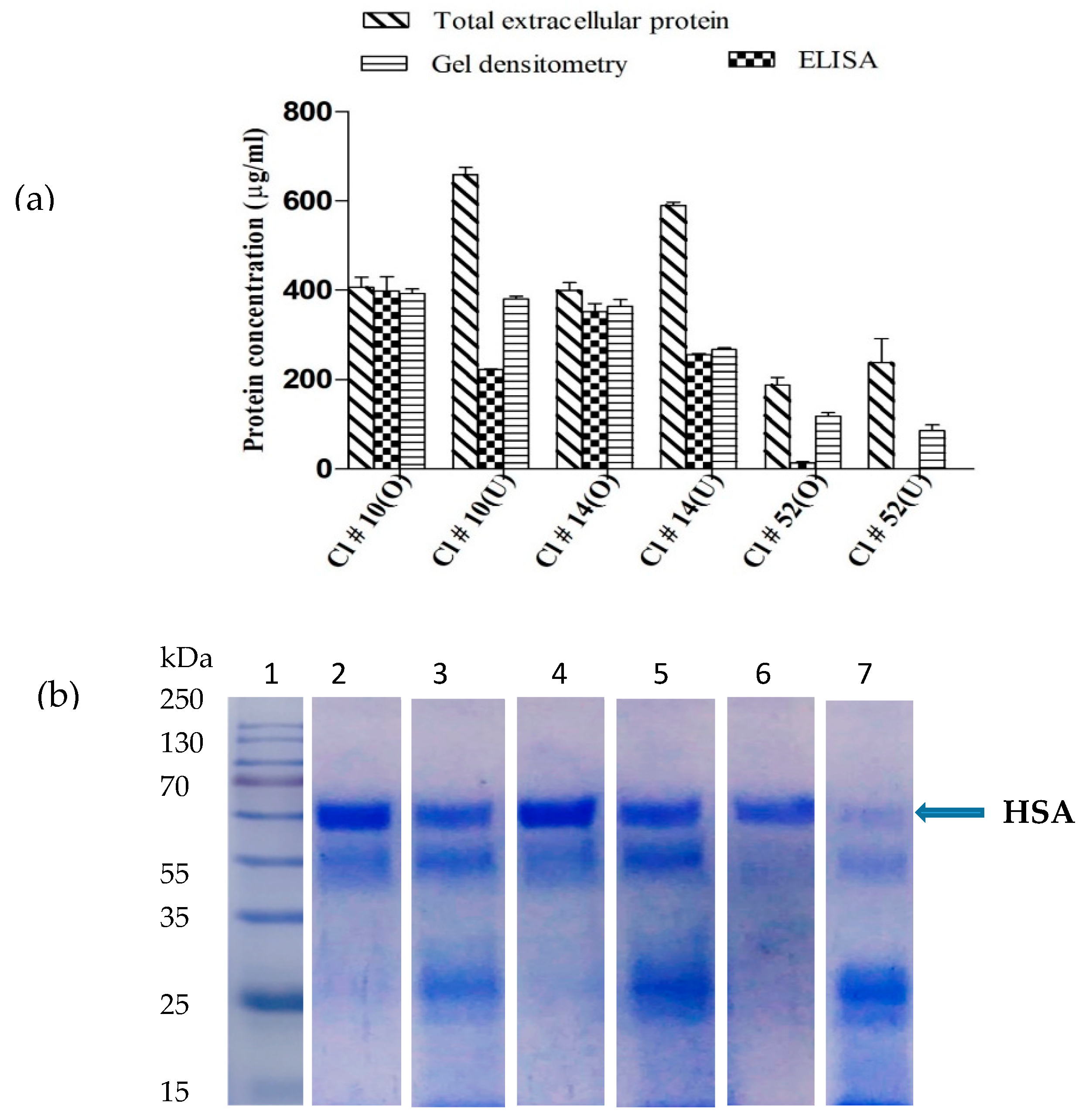 Biomolecules 09 00568 g005