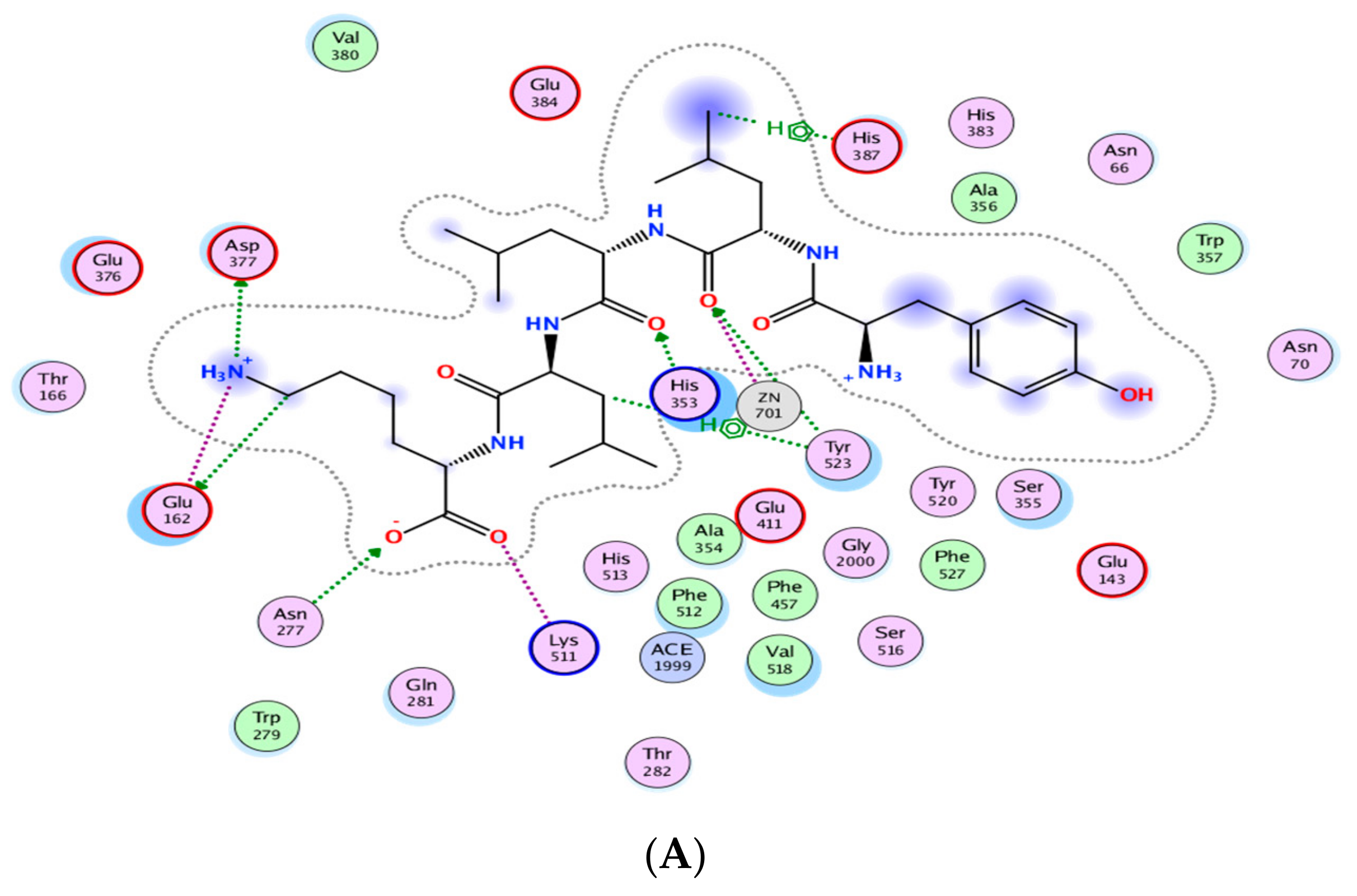 Biomolecules 09 00569 g003a