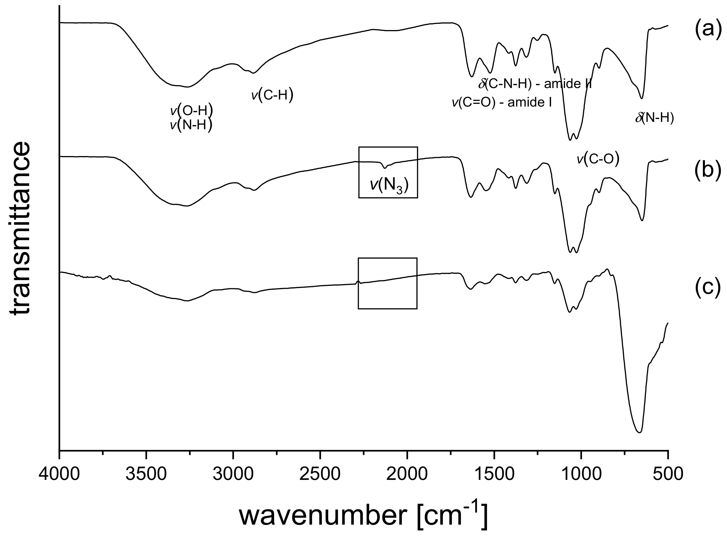 Biomolecules 09 00573 g002 Biomolecules 09 00573 g002