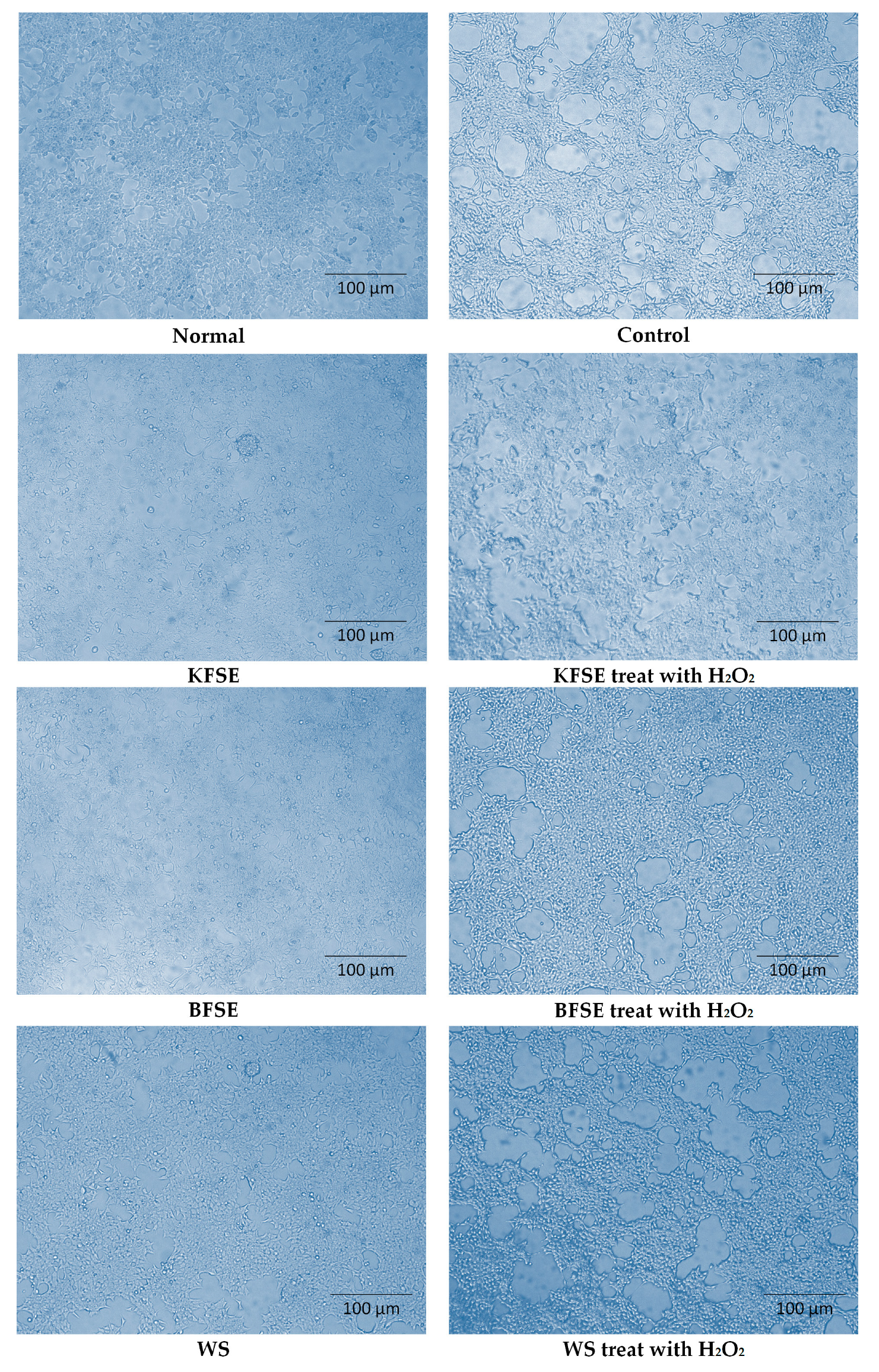 Biomolecules 09 00575 g003