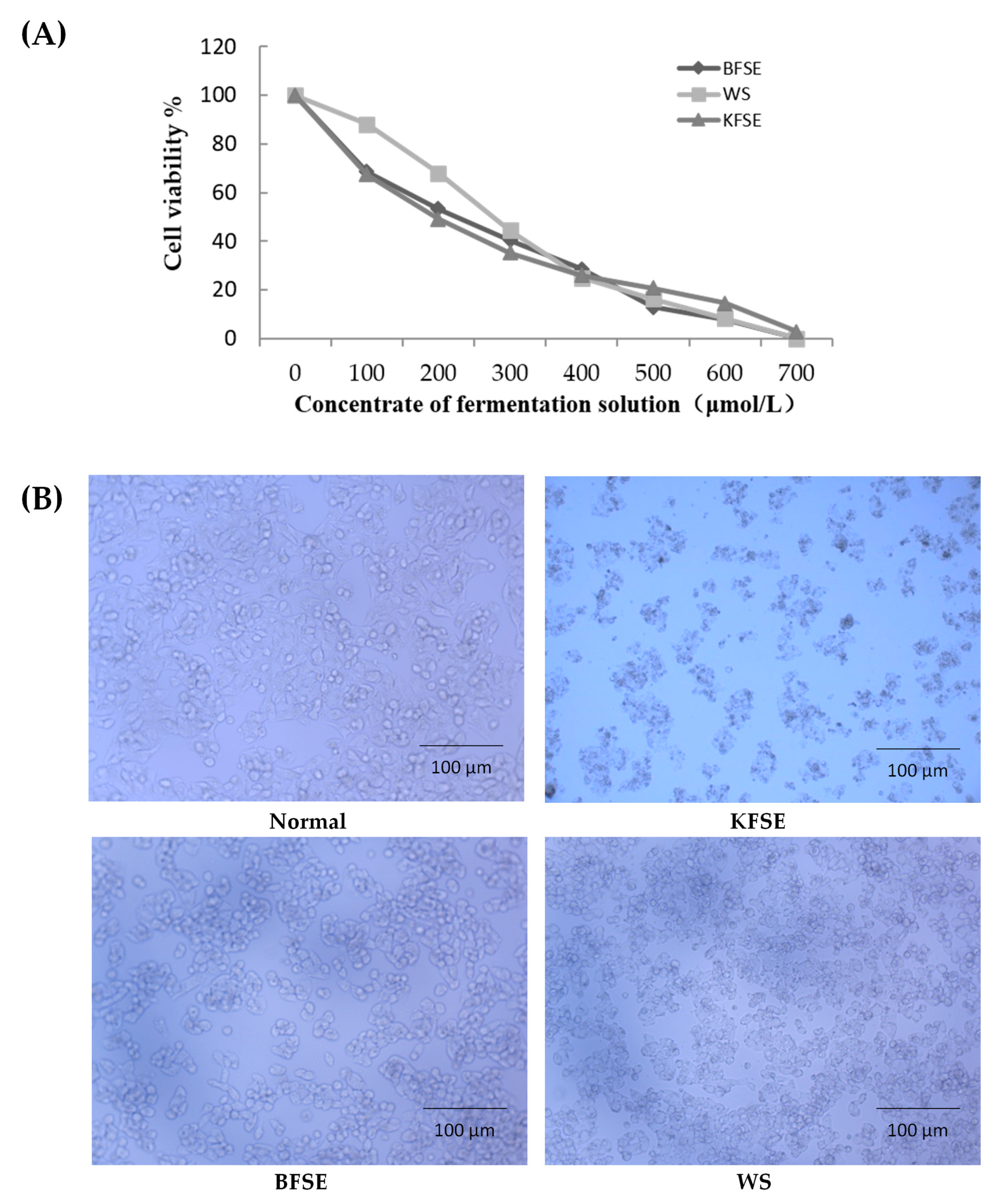 Biomolecules 09 00575 g005