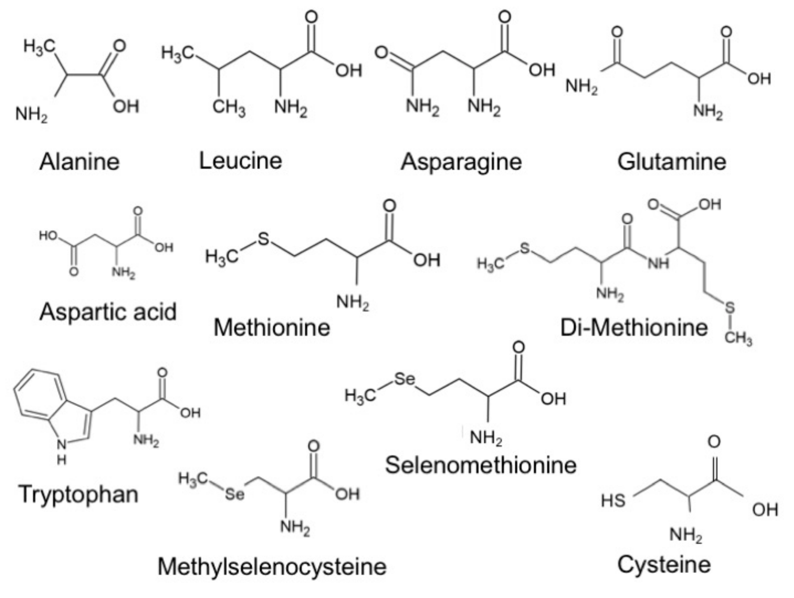 Biomolecules 09 00580 g001
