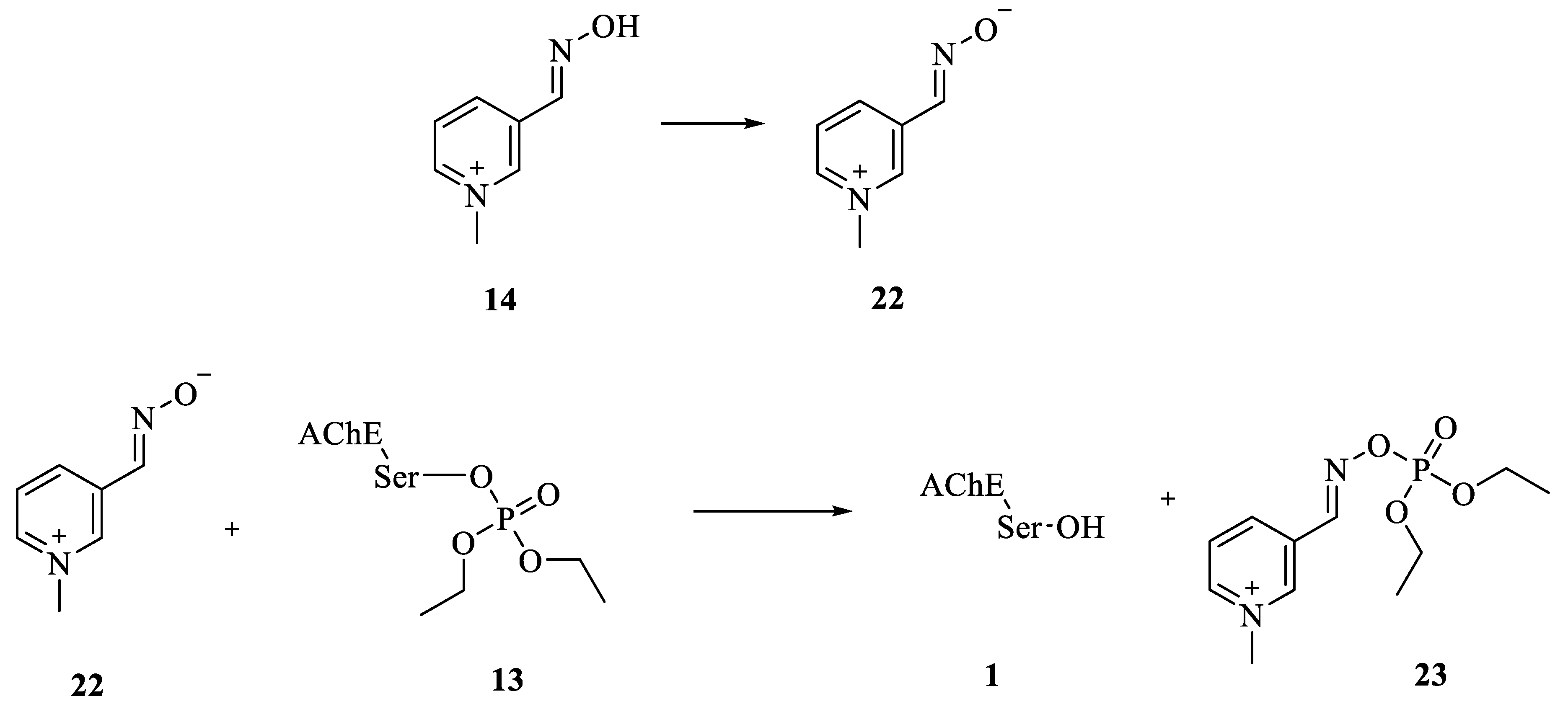 Biomolecules 09 00583 sch004