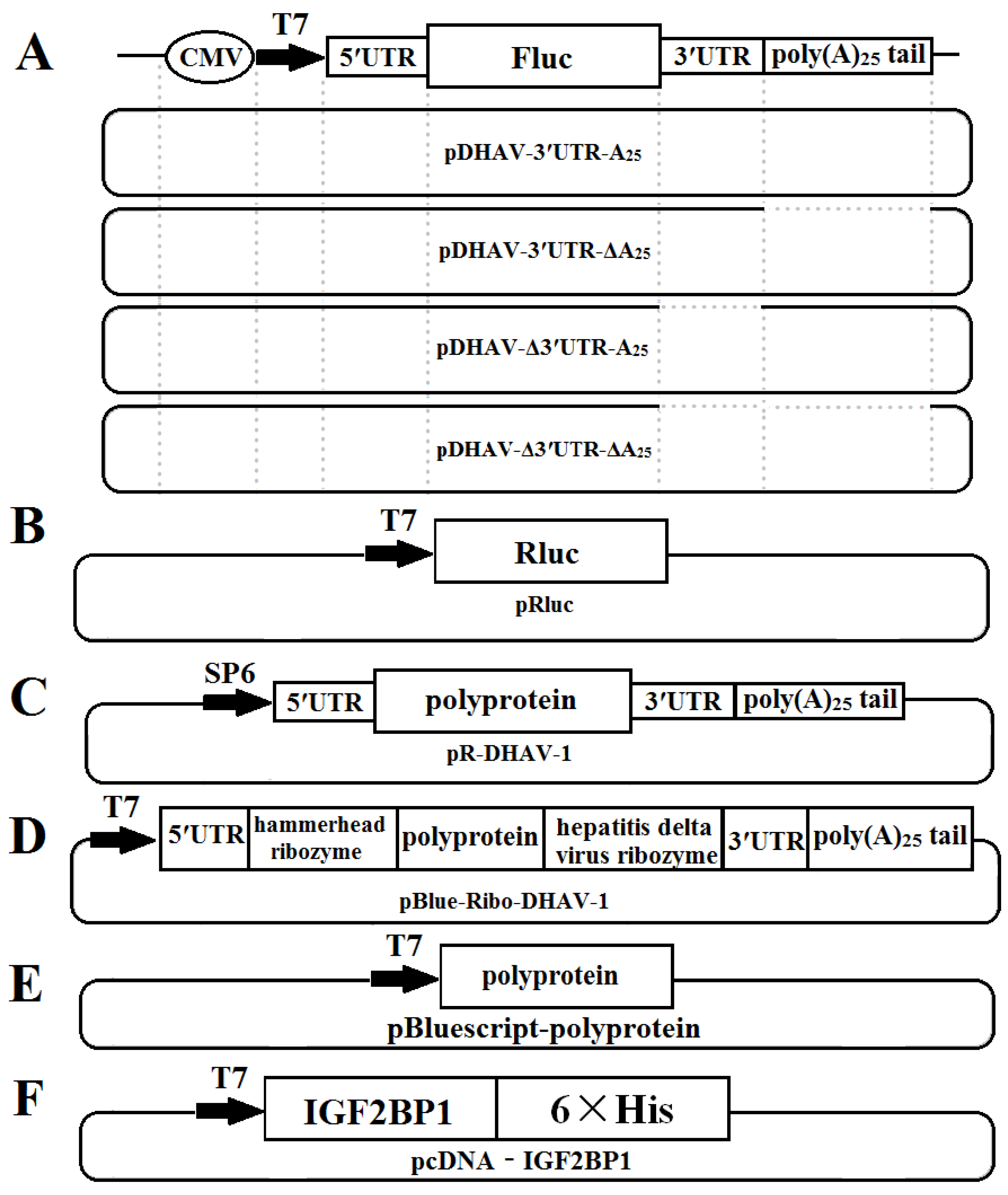 Biomolecules 09 00594 g001