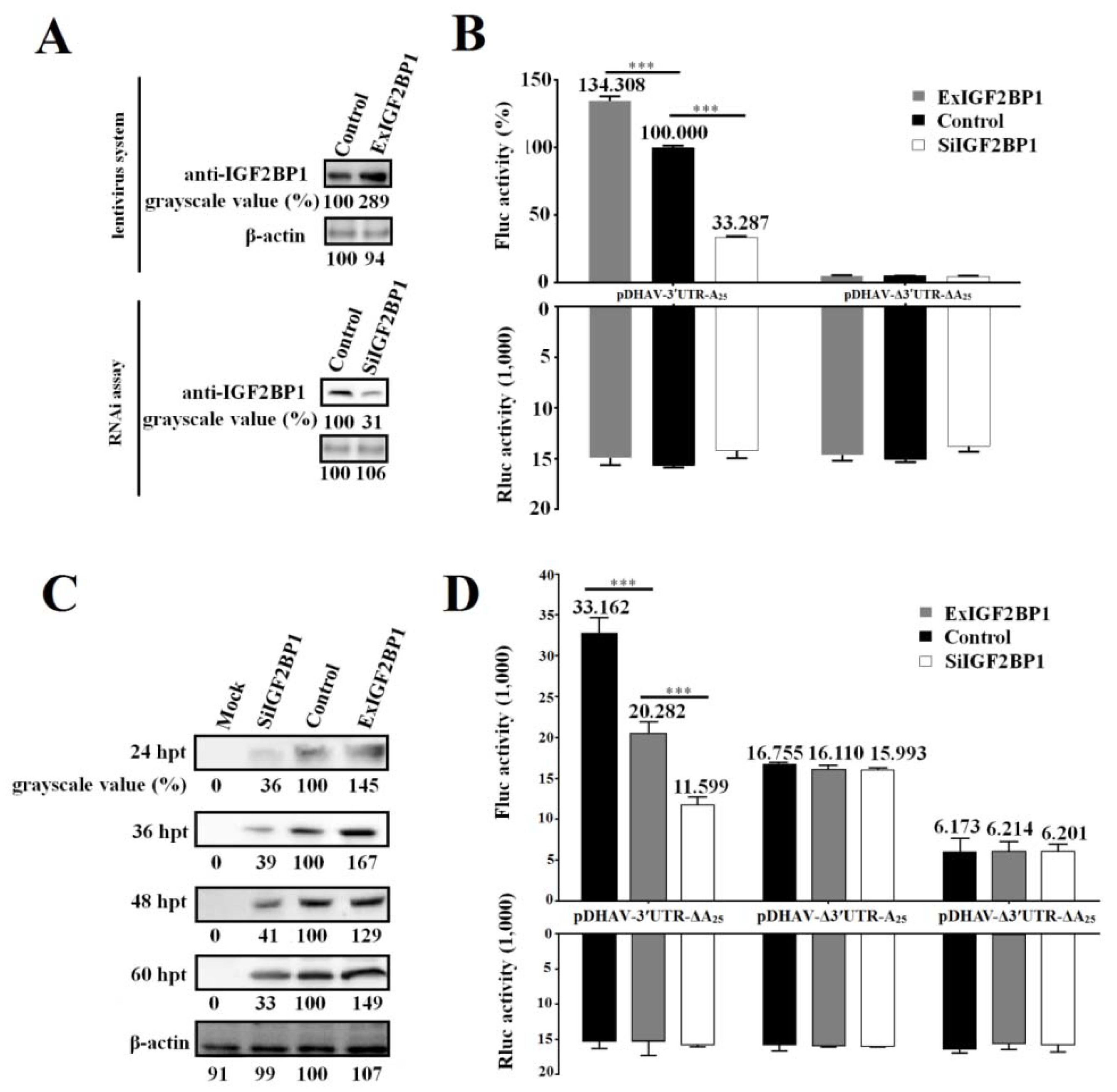 Biomolecules 09 00594 g003