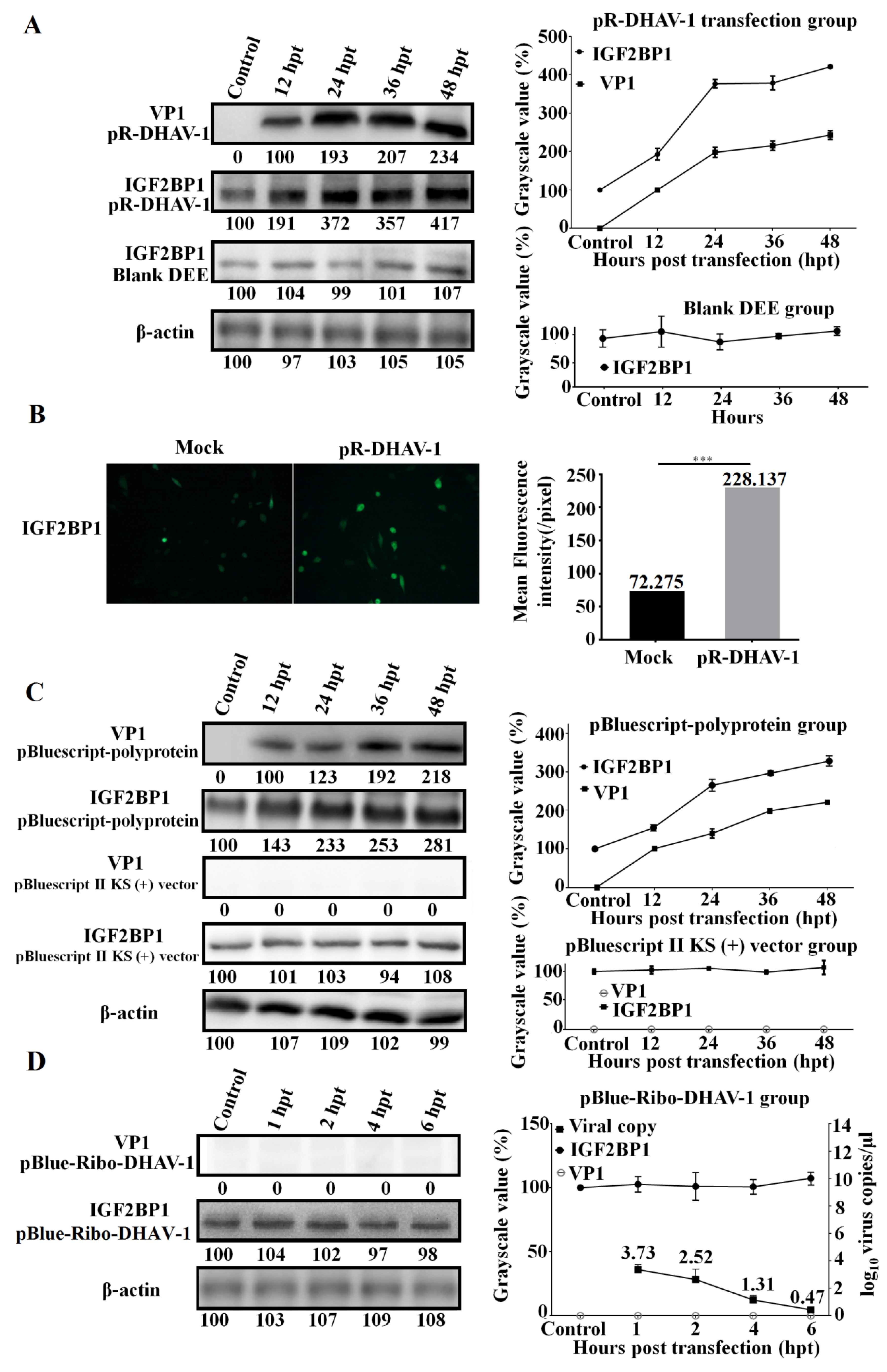 Biomolecules 09 00594 g004
