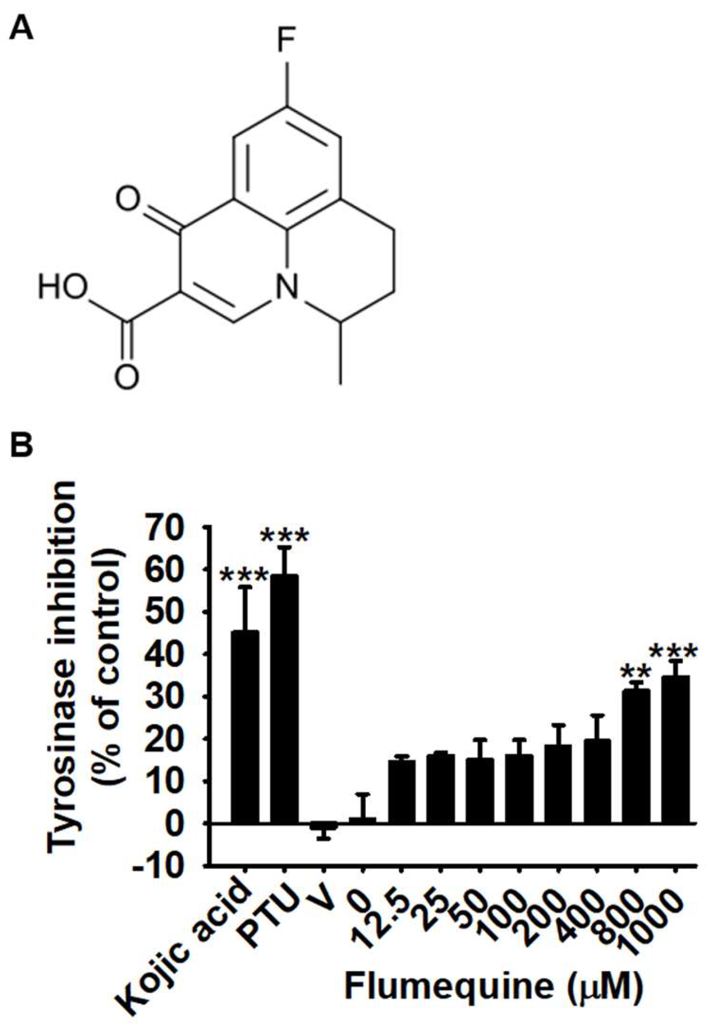 Biomolecules 09 00596 g001 Biomolecules 09 00596 g001