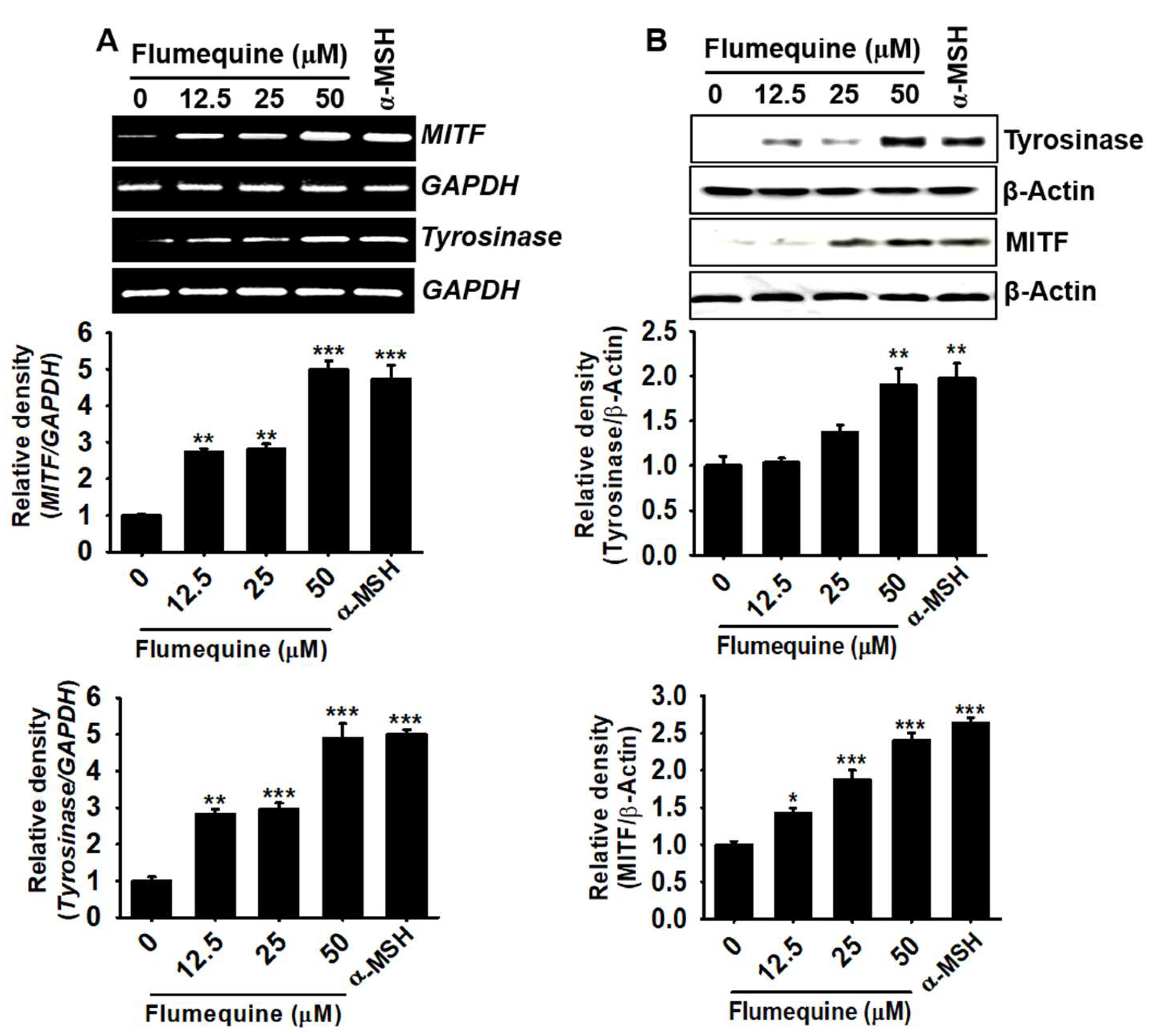 Biomolecules 09 00596 g004 Biomolecules 09 00596 g004