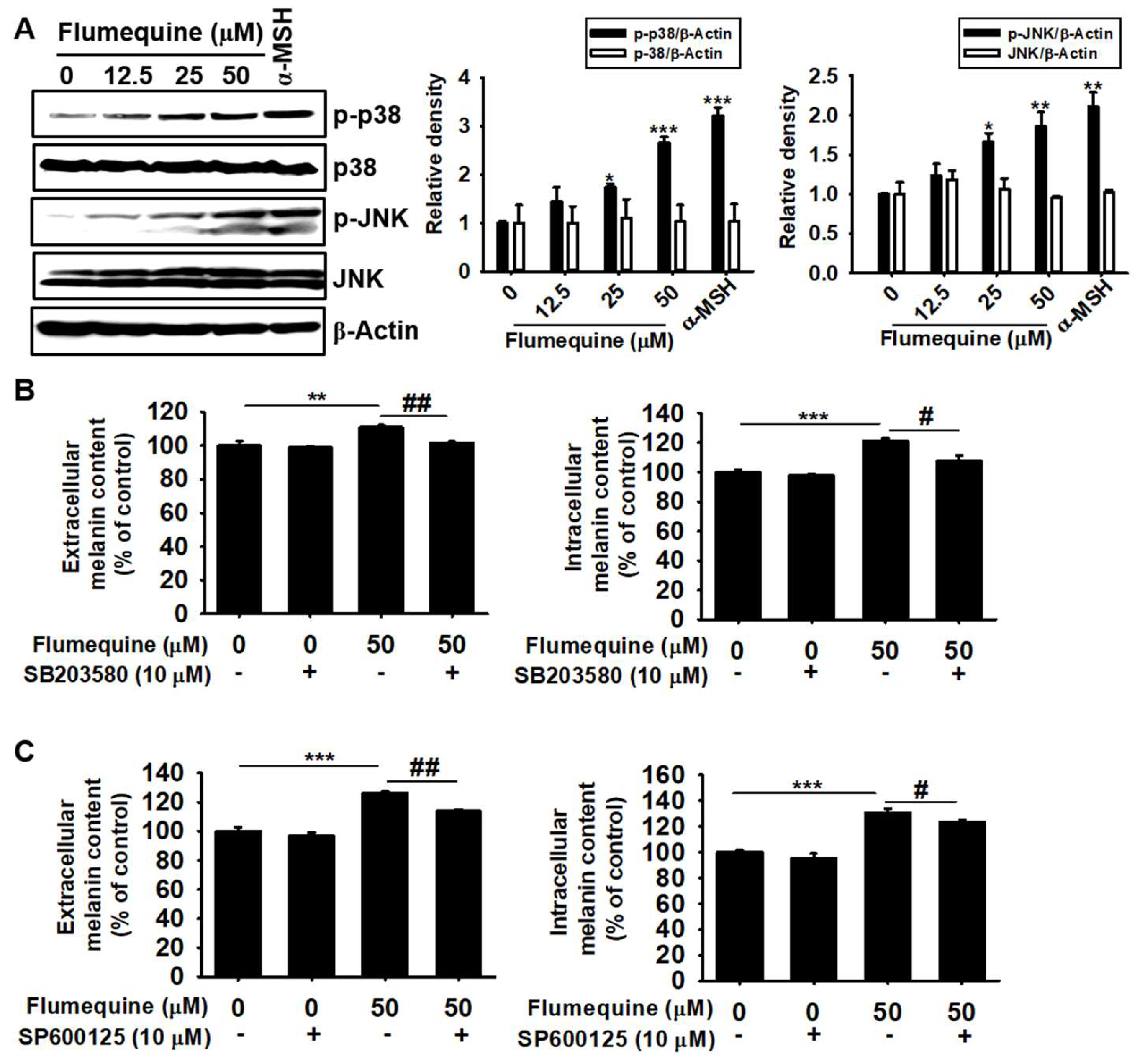 Biomolecules 09 00596 g006 Biomolecules 09 00596 g006
