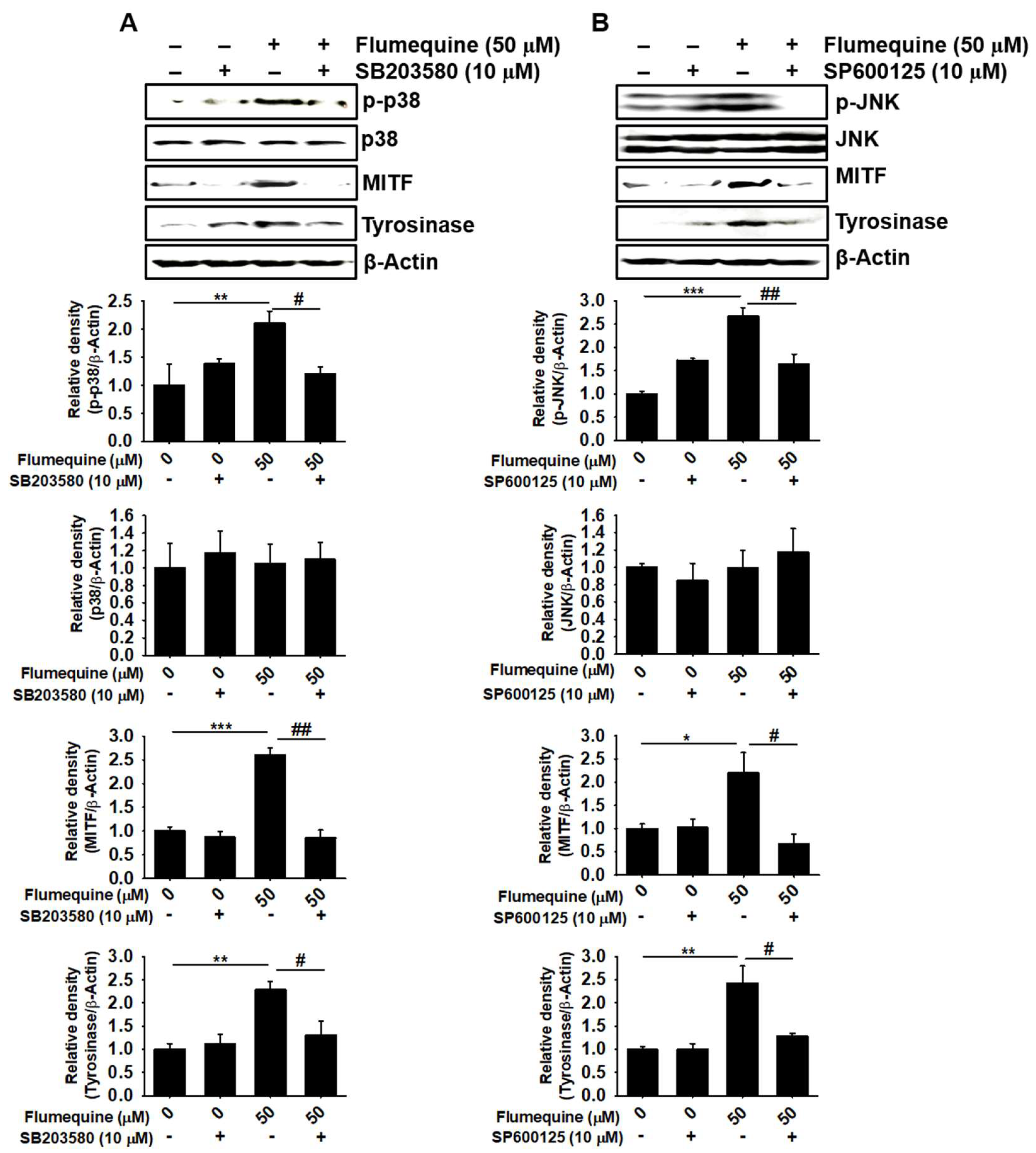 Biomolecules 09 00596 g007 Biomolecules 09 00596 g007