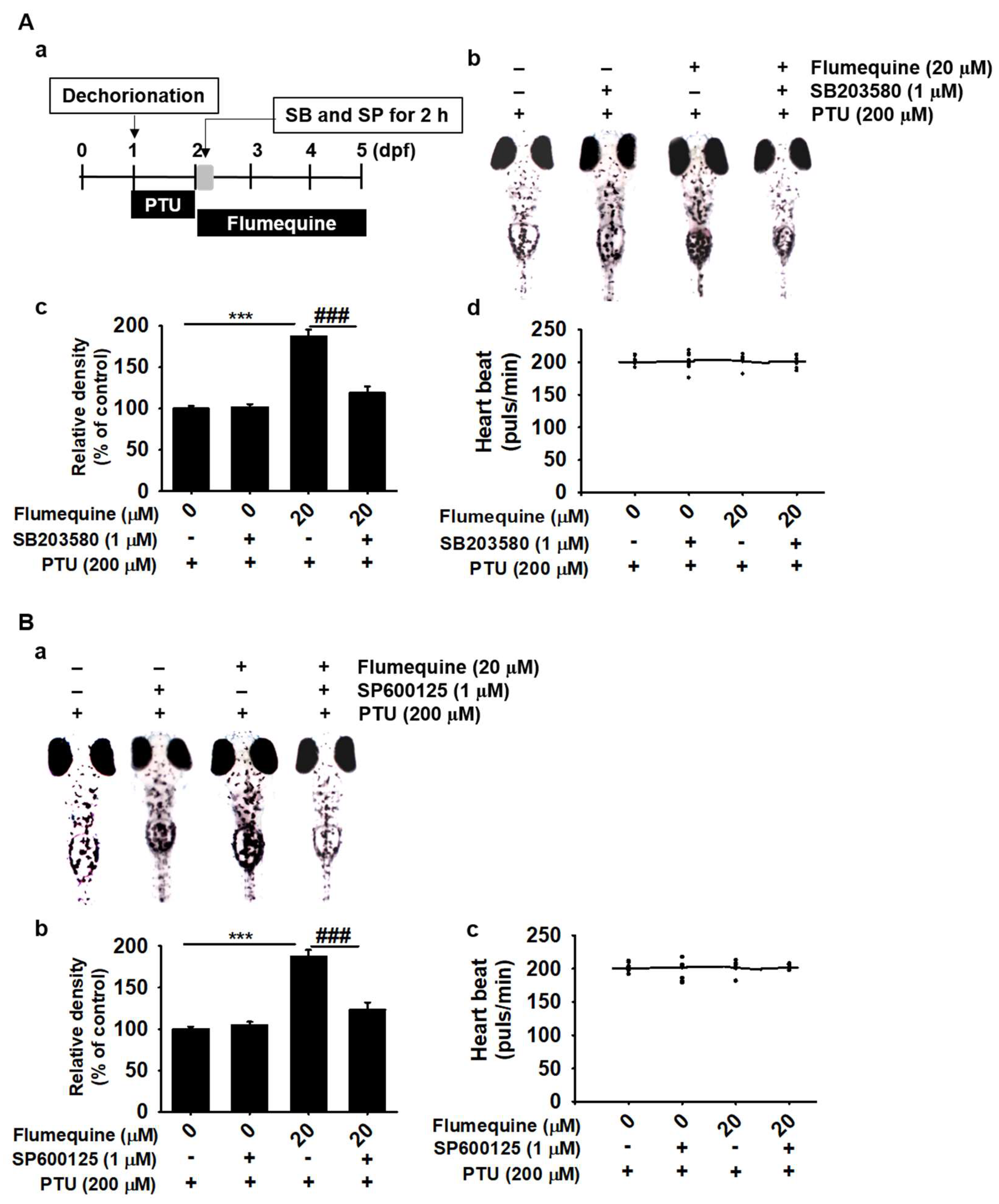 Biomolecules 09 00596 g008 Biomolecules 09 00596 g008