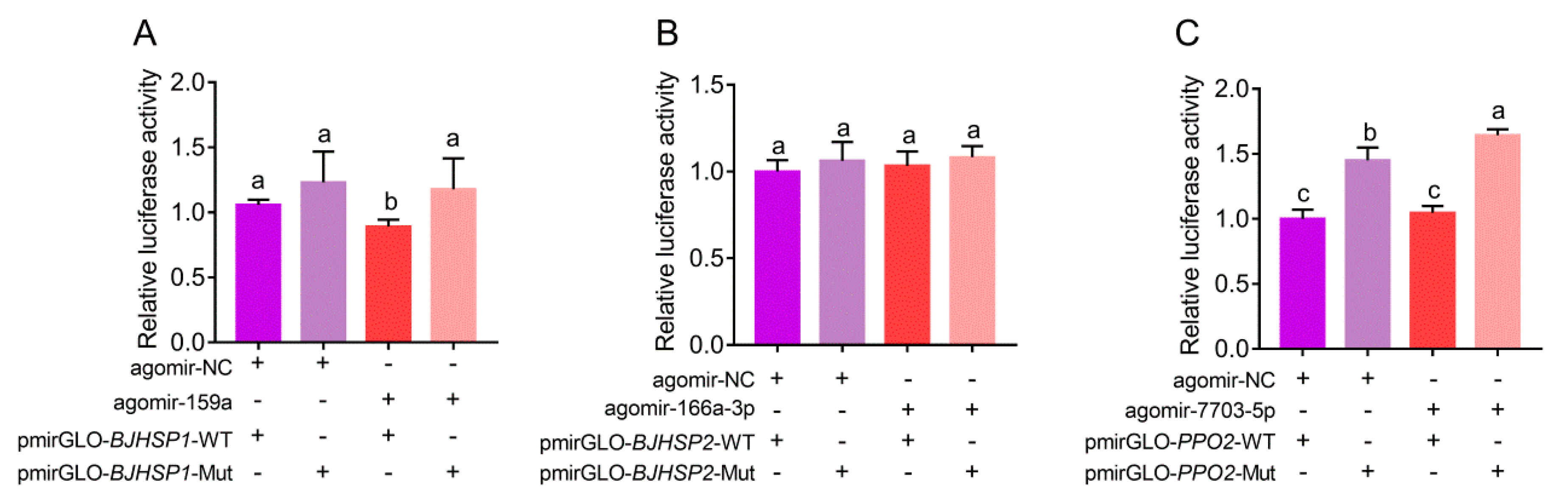 Biomolecules 09 00602 g004