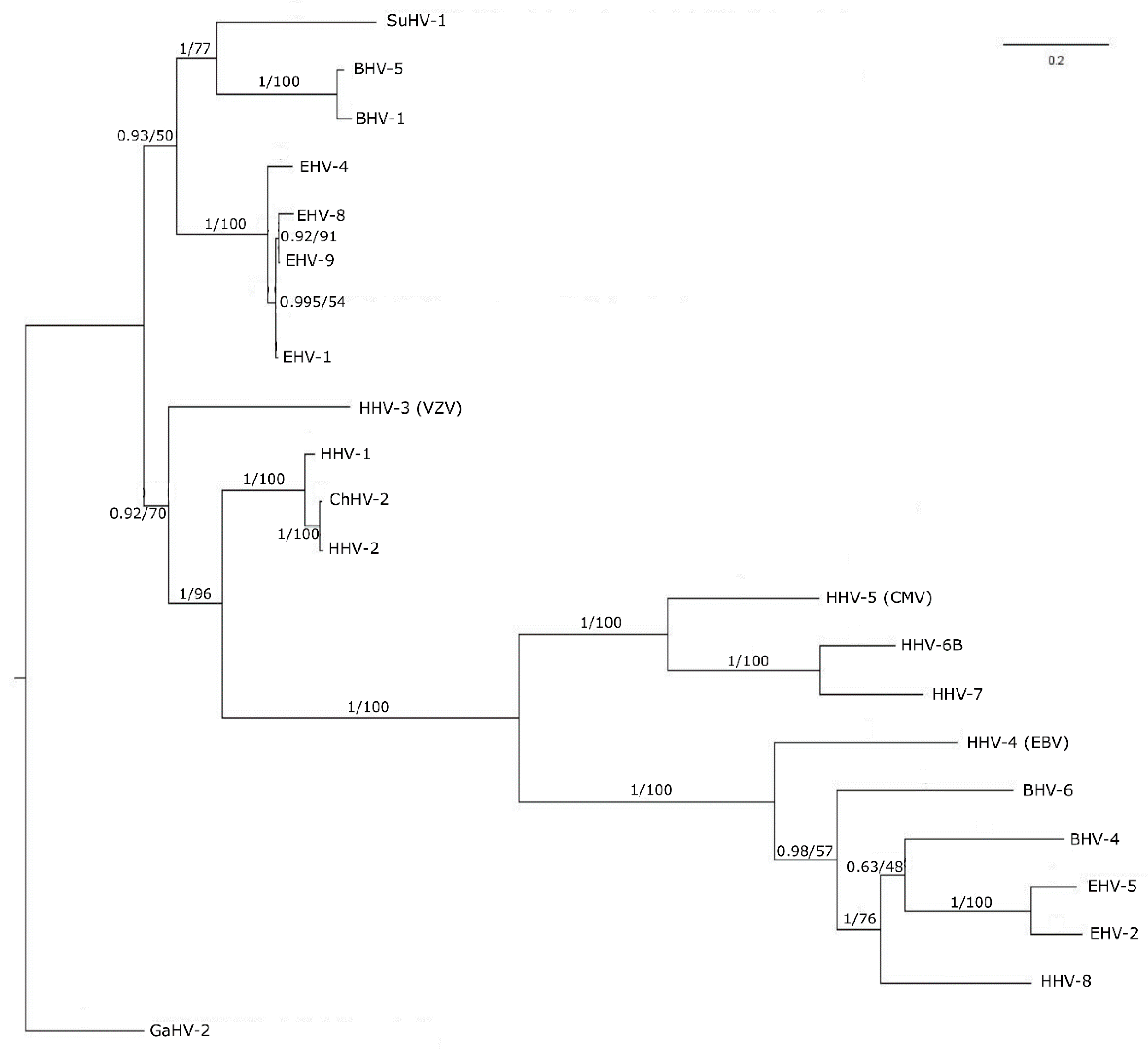 Biomolecules 09 00603 g003