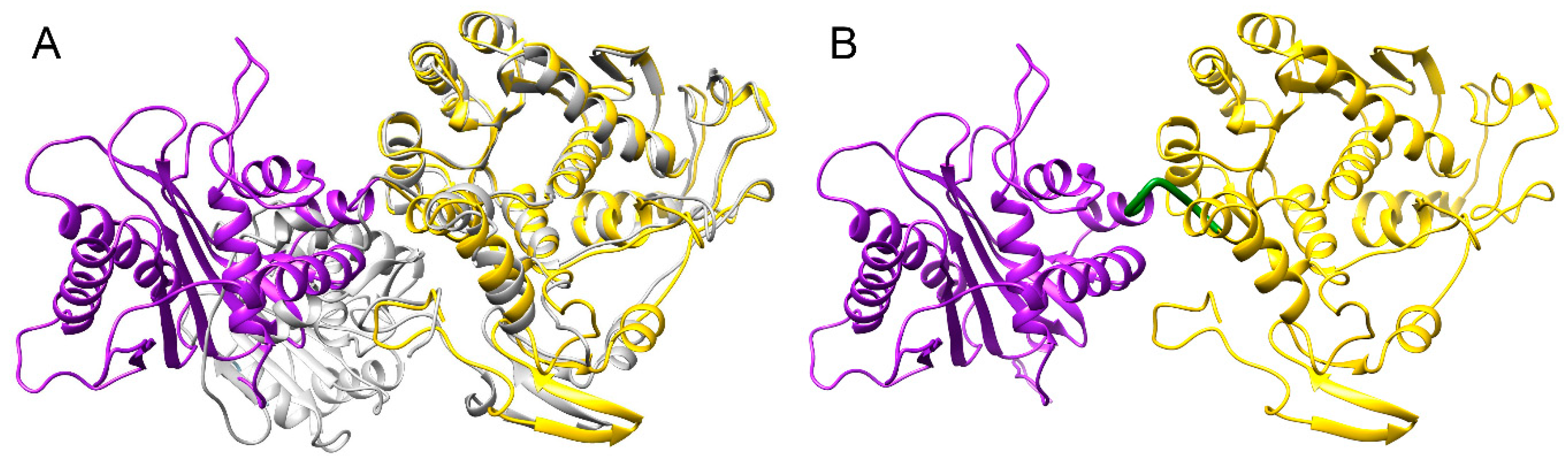Biomolecules 09 00603 g004