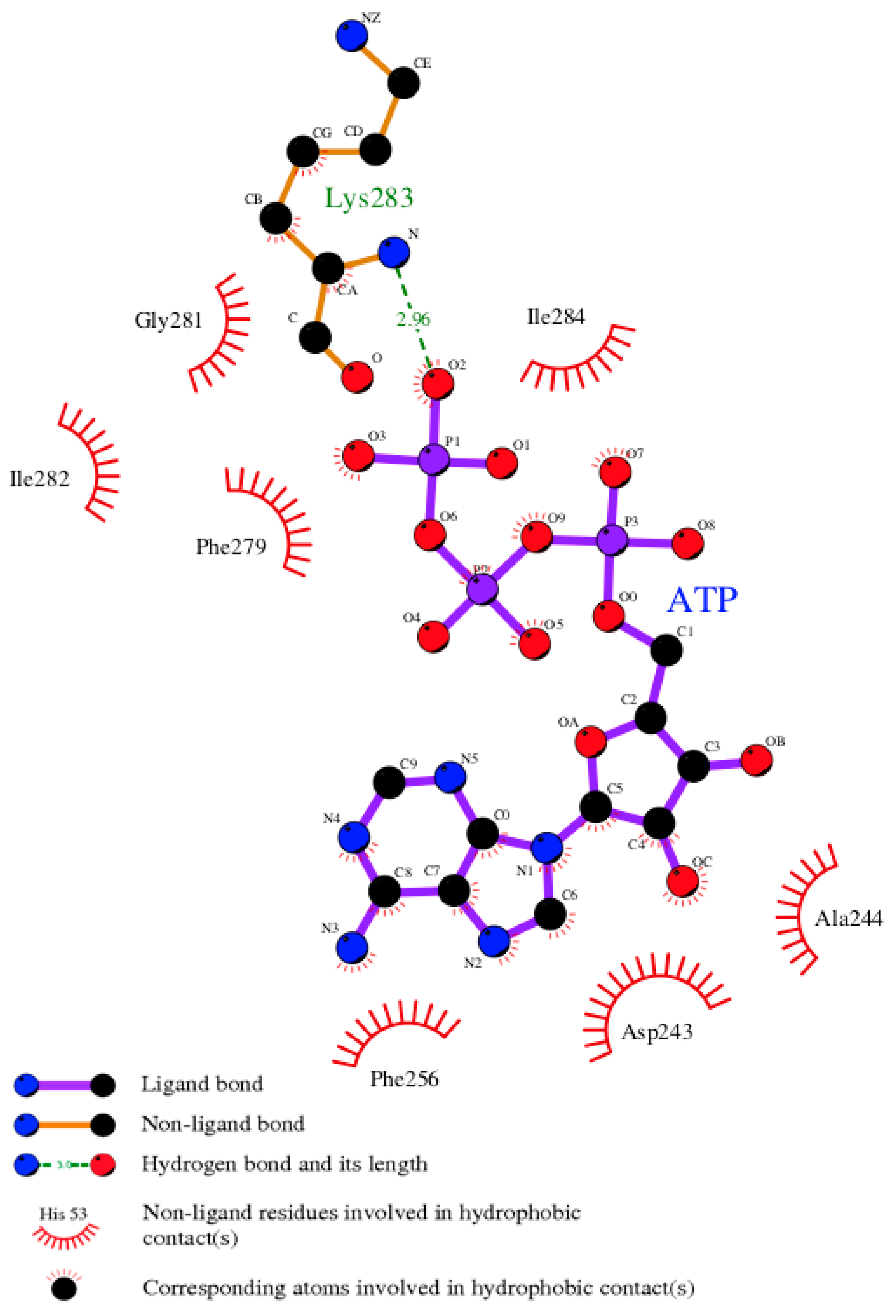 Biomolecules 09 00603 g007