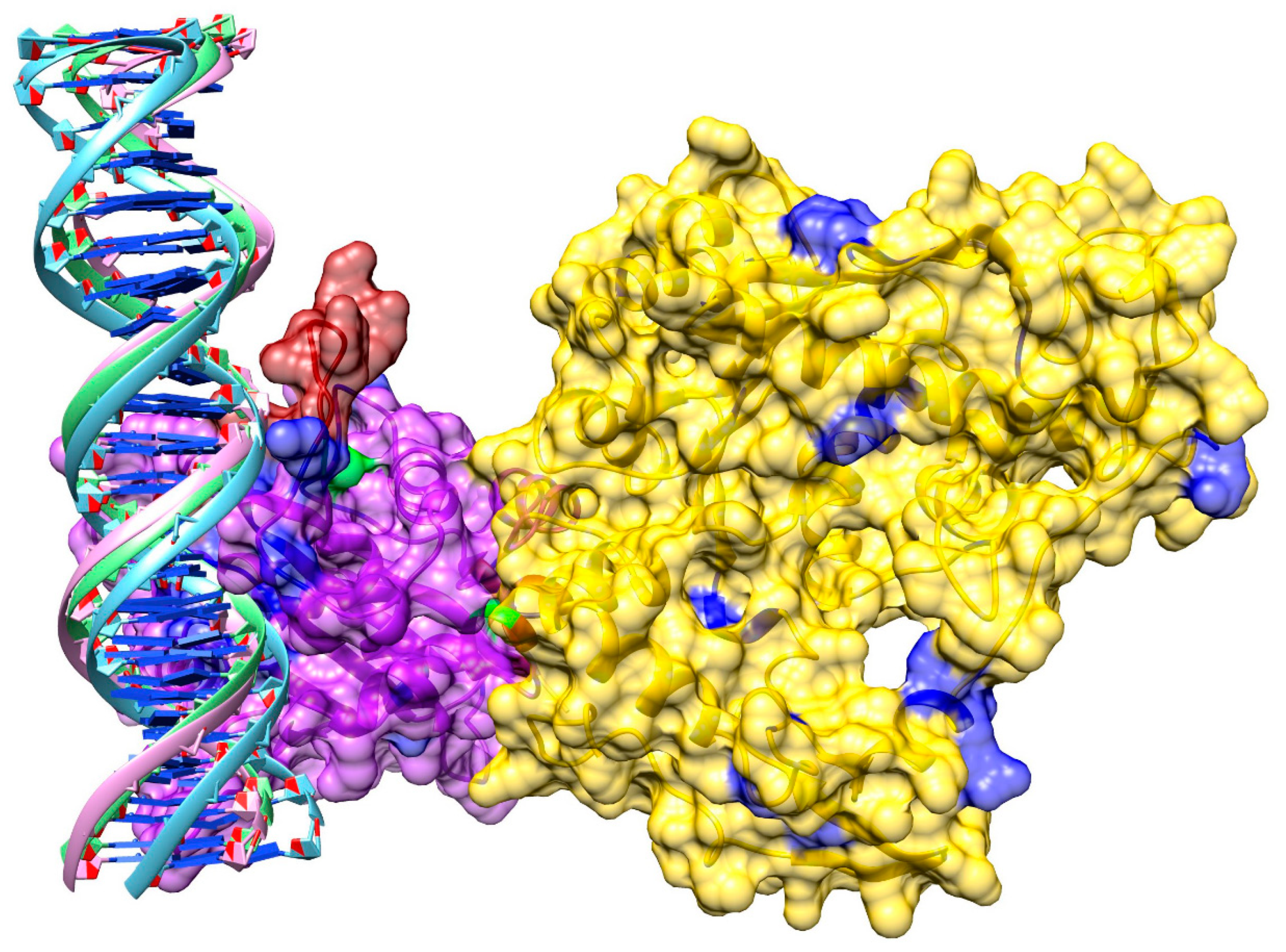 Biomolecules 09 00603 g009