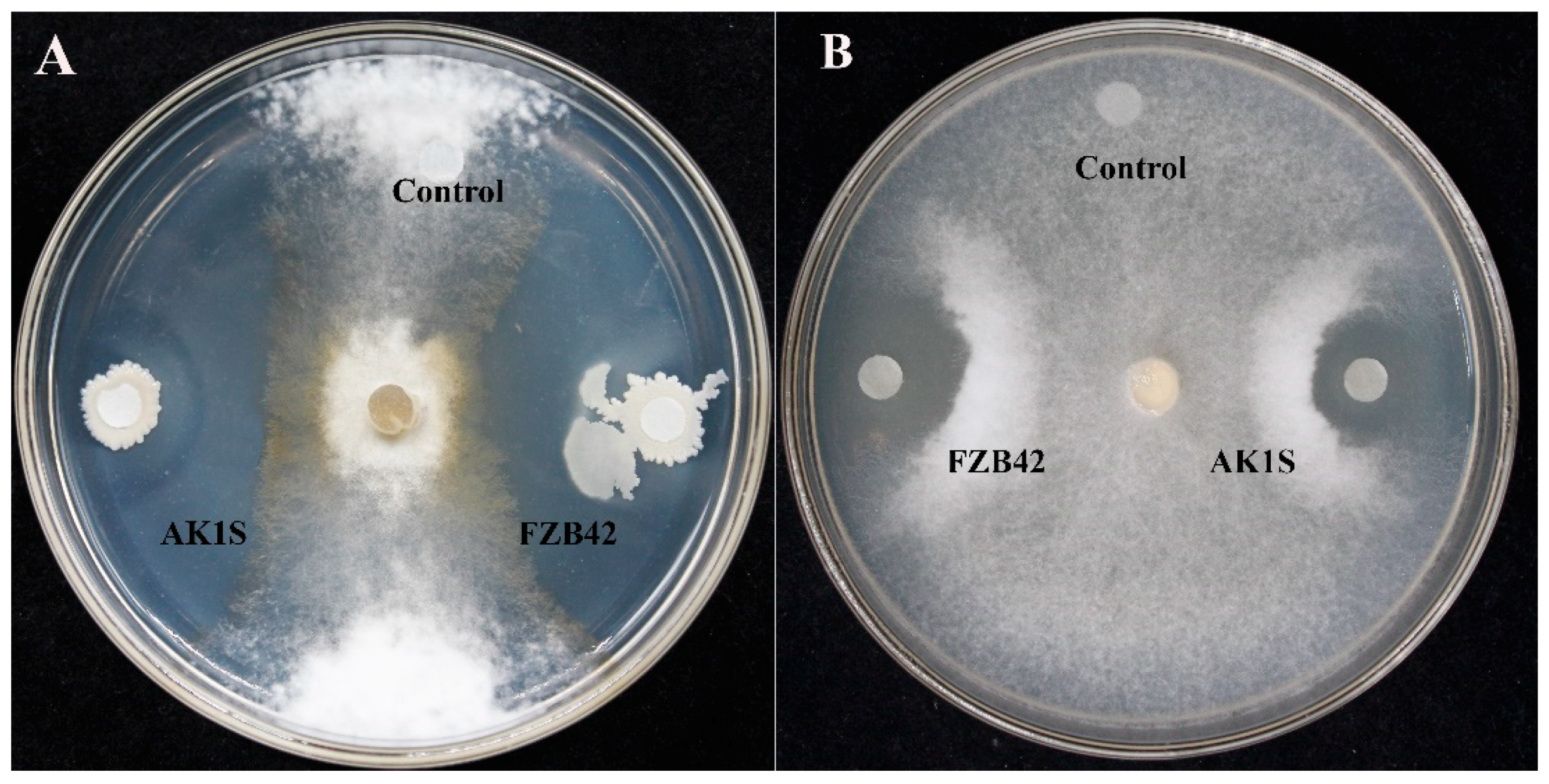 Biomolecules 09 00613 g001