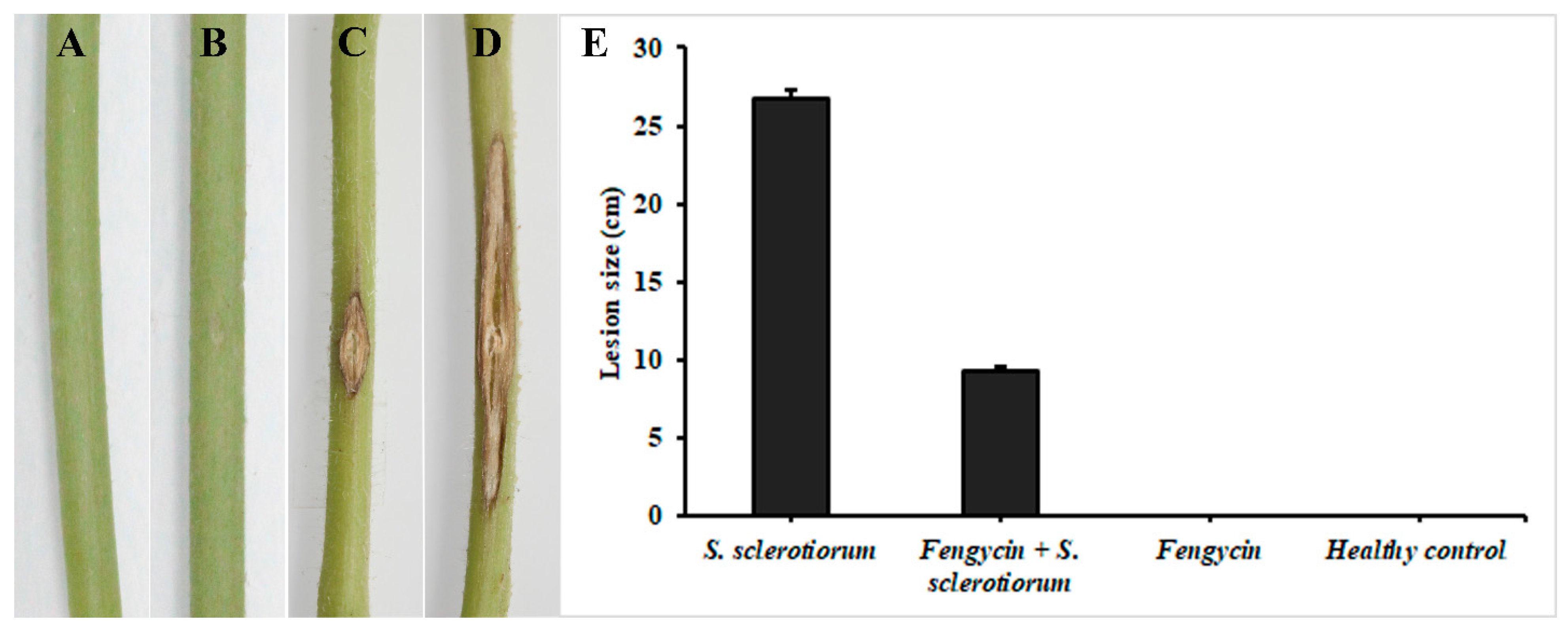 Biomolecules 09 00613 g008