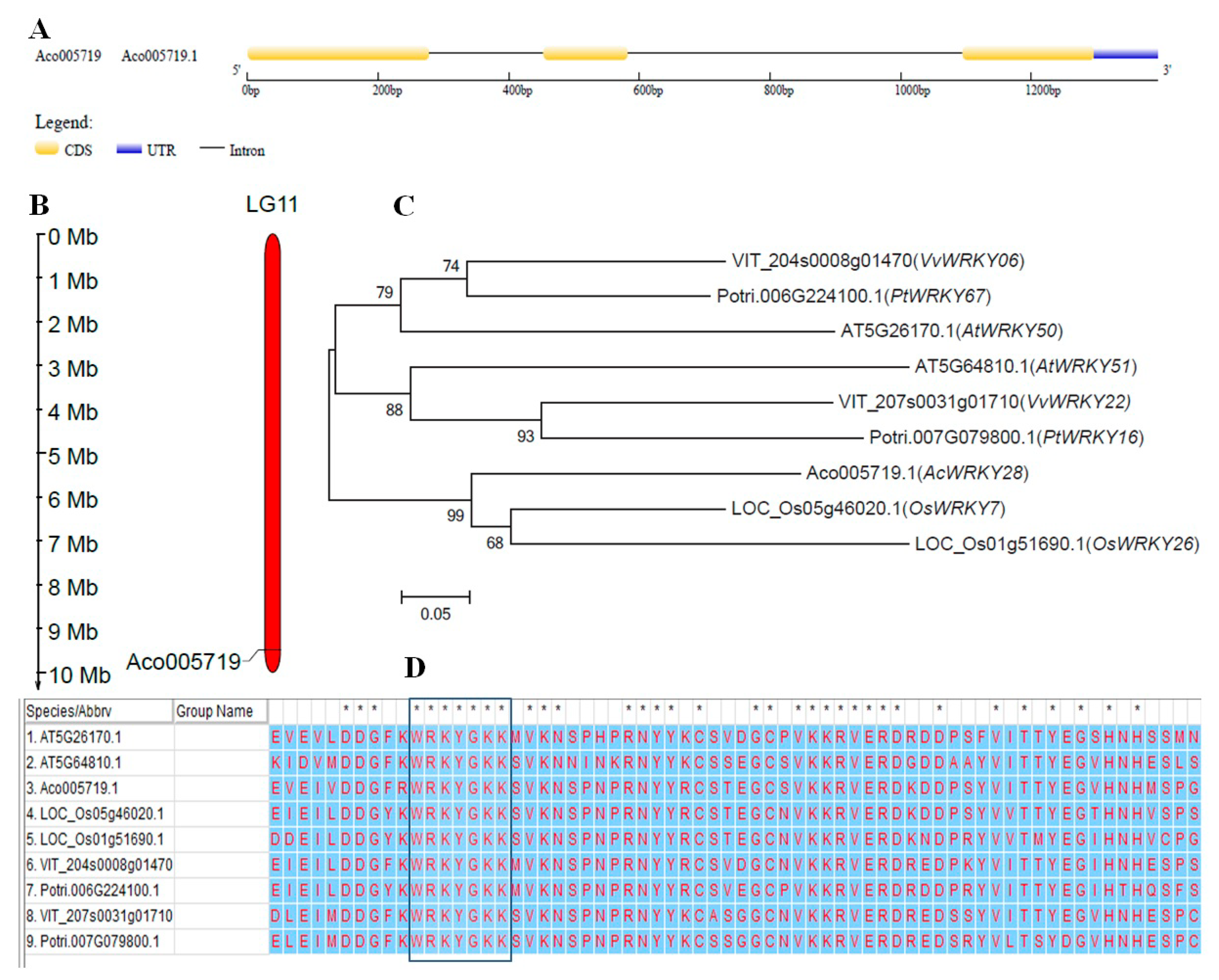 Biomolecules 09 00617 g001 Biomolecules 09 00617 g001