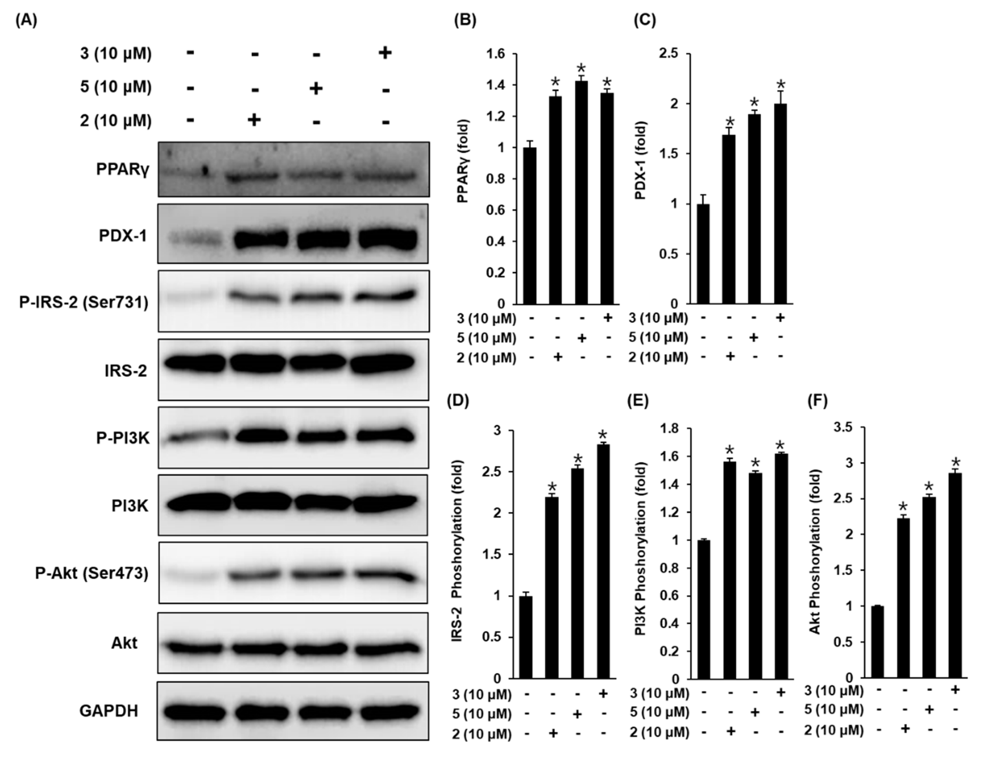 Biomolecules 09 00618 g004 Biomolecules 09 00618 g004